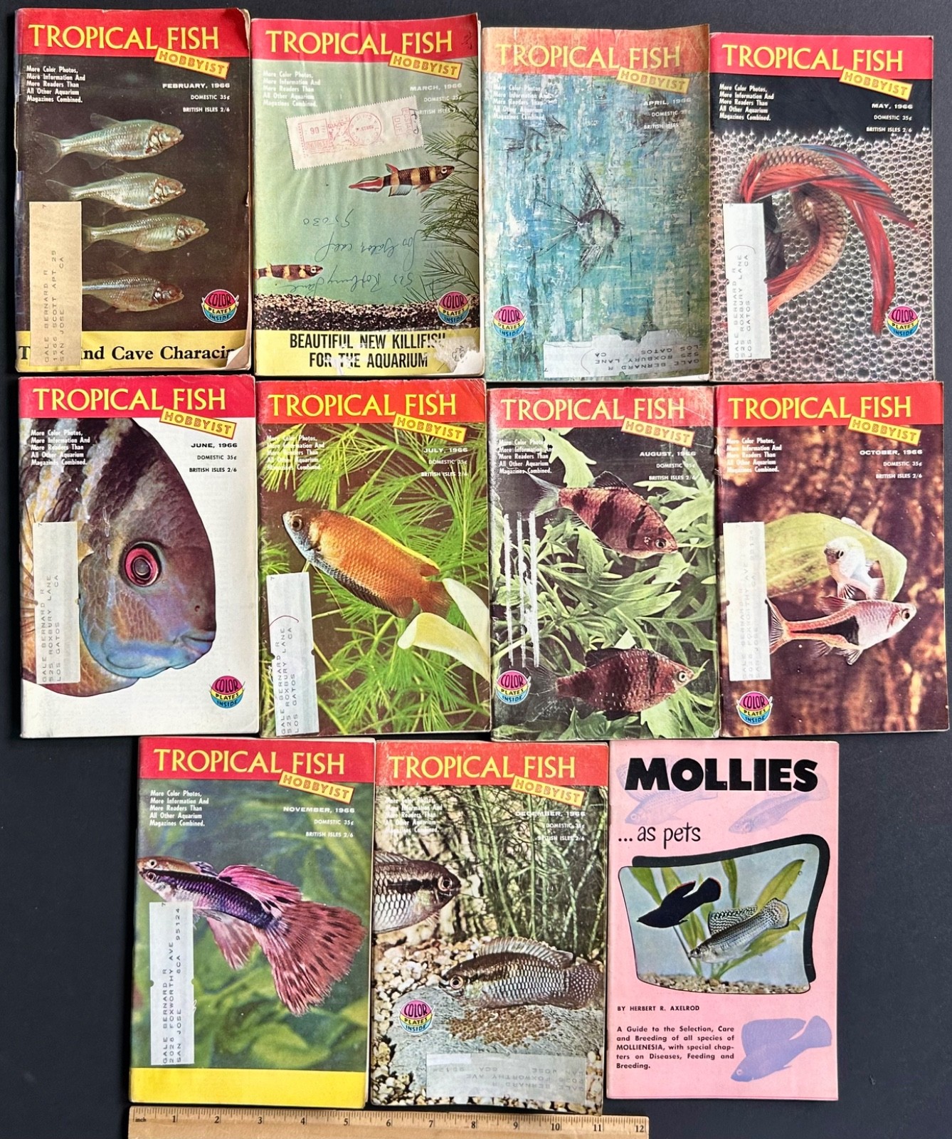 Lot Vintage 1966 Tropical Fish Hobbyist magazines 10 Issues PLUS Mollies Pamph.
