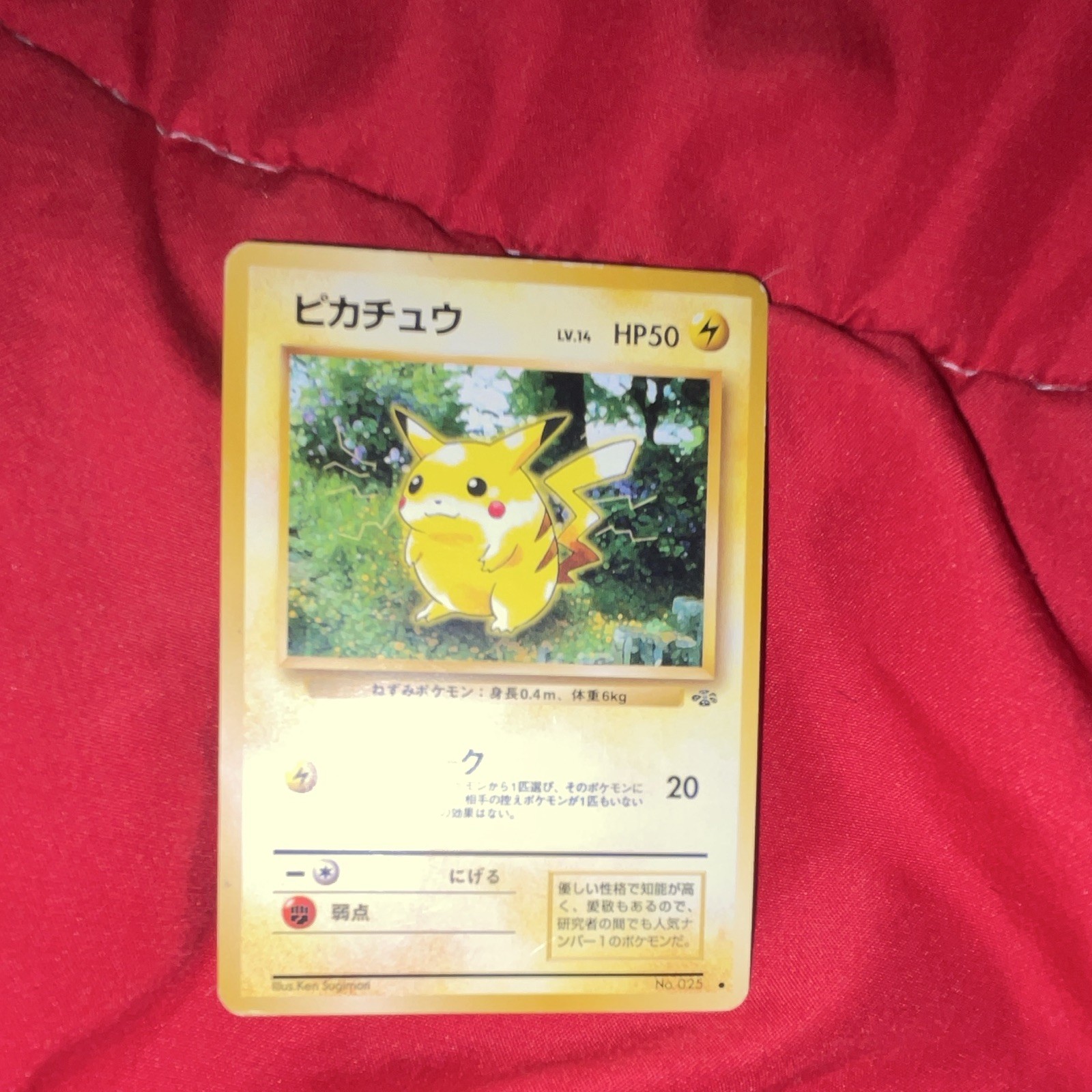 Nintendo 1996 Pokemon TCG Japanese Base Set Pikachu No.025 Basic HP 50 PSA 9 Nintendo 1996 Pokemon TCG Japanese Base Set Pikachu No.025 Basic HP 50 PSA 9