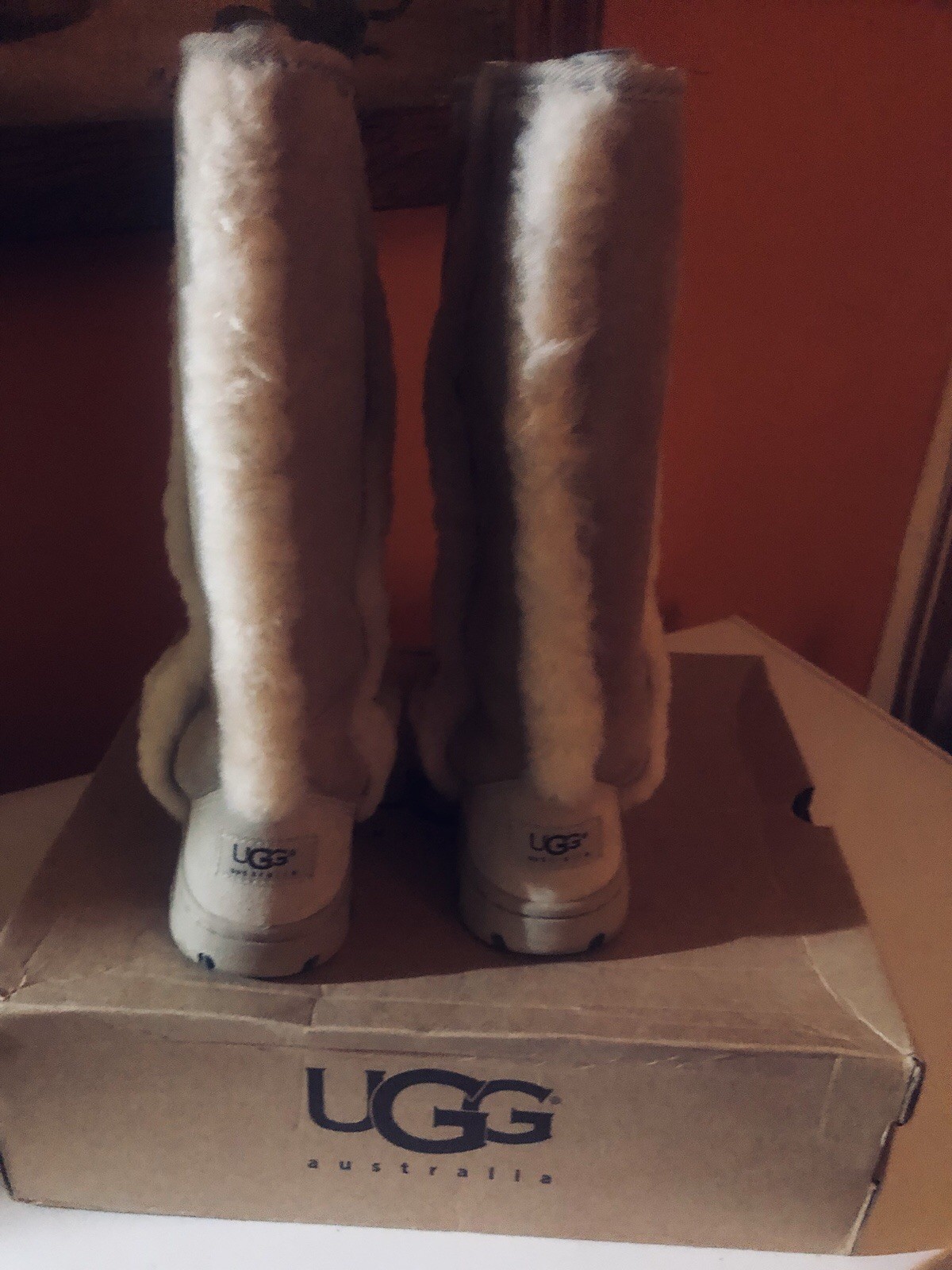 Ugg Boots Ugg Boots