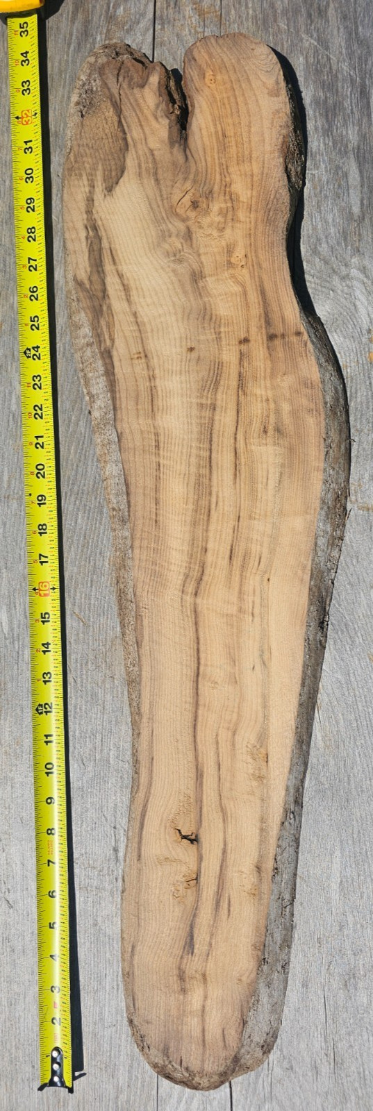 River Salvaged Fiddleback Myrtlewood Live Edge Slab River Salvaged Fiddleback Myrtlewood Live Edge Slab