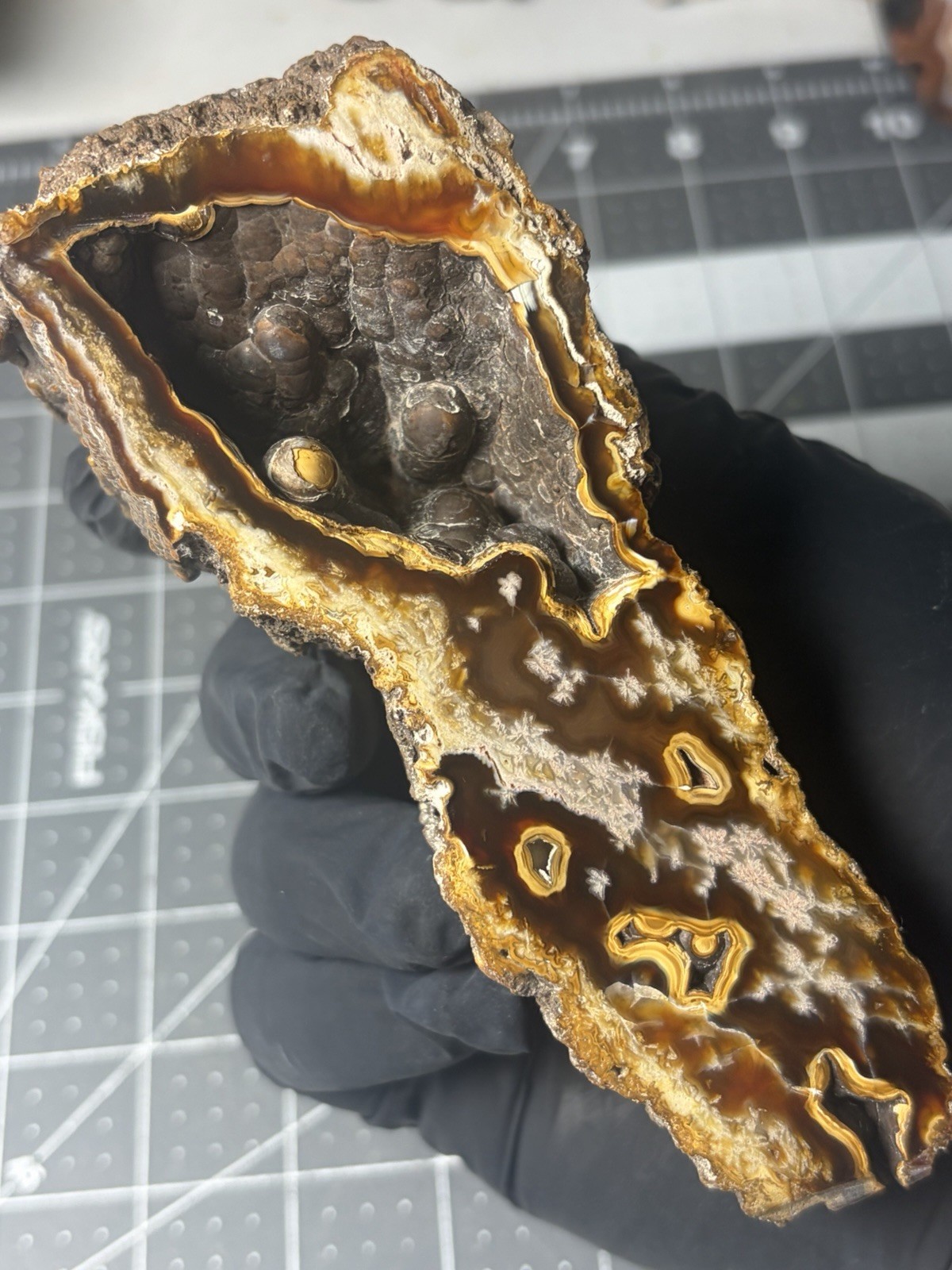 Carnelian Agatized Coral Botryodial Geode Polished Uv Reactive Agate Carnelian Agatized Coral Botryodial Geode Polished Uv Reactive Agate