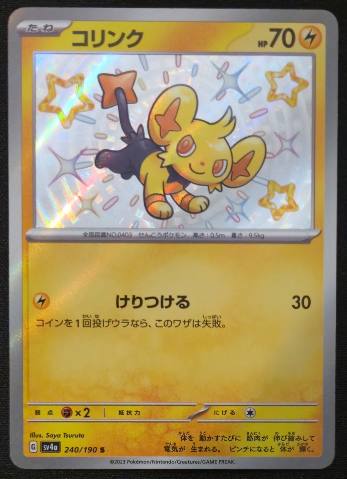 Japanese Shinx 240/190 sv4a Shiny Treasure ex Shiny Holo Rare Pokémon 2023 NM