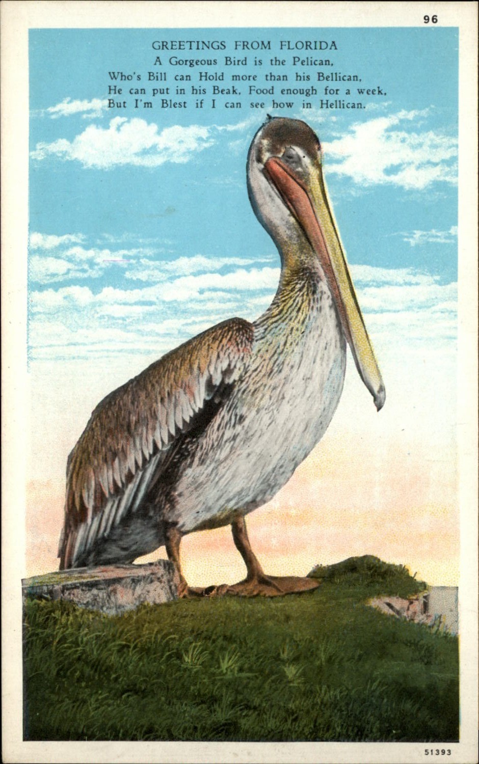 Pelican Florida comic poem vintage postcard unposted 1920s g300