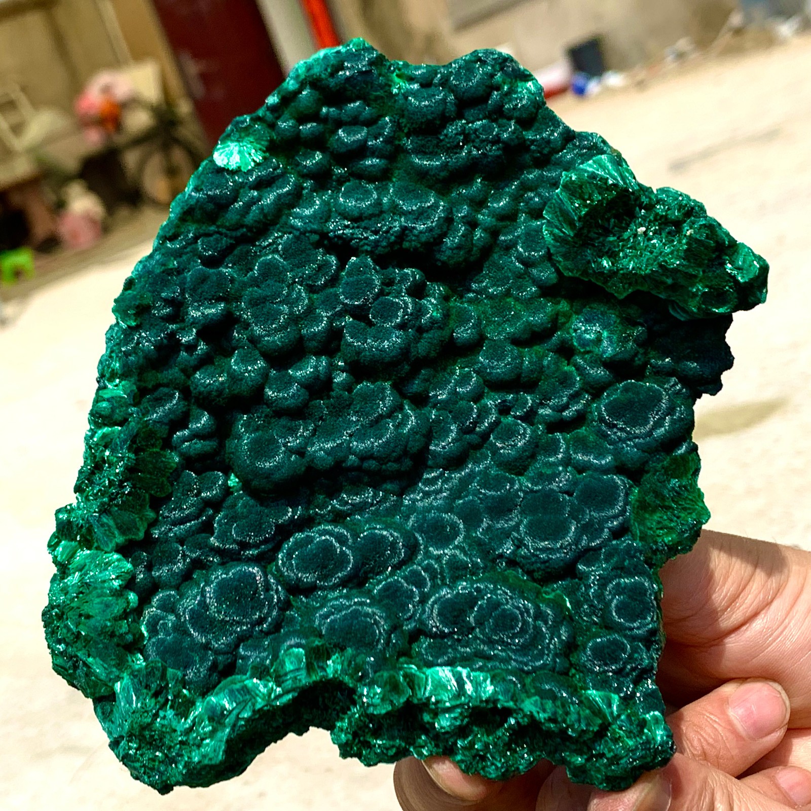 1.37LB Natural VELVET Azurite/Malachite cat's eye specimen crystal mineral-Congo