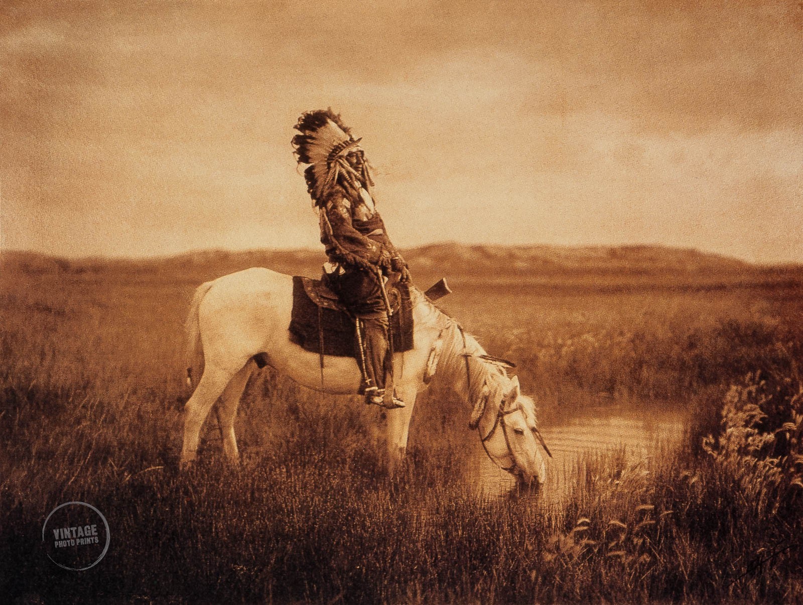 VTG Edward Curtis Photo Oasis Bad Lands Originalgravure Art 1905 Mat 10x12