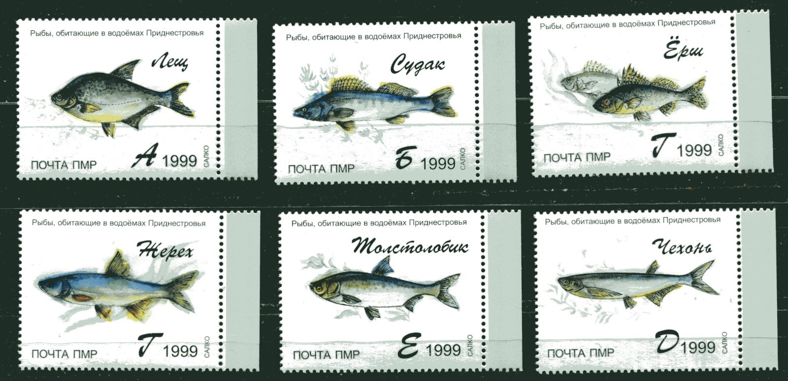 DNIEPR 1999 UKRAINE LOCALS, FISH, MNH