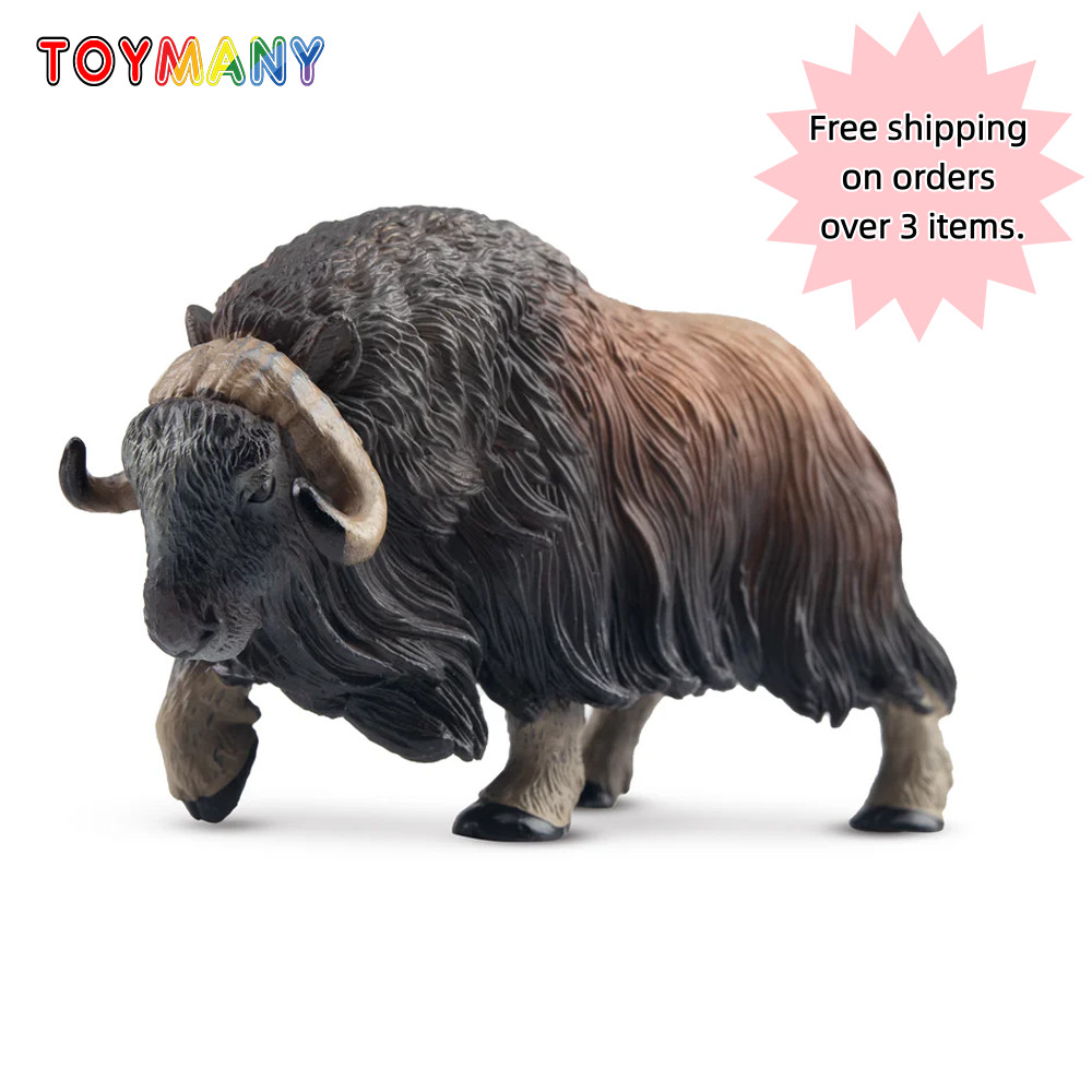 Toymany Musk Ox Figurine ML00361 Realistic Hand Painted  Wildlife Model