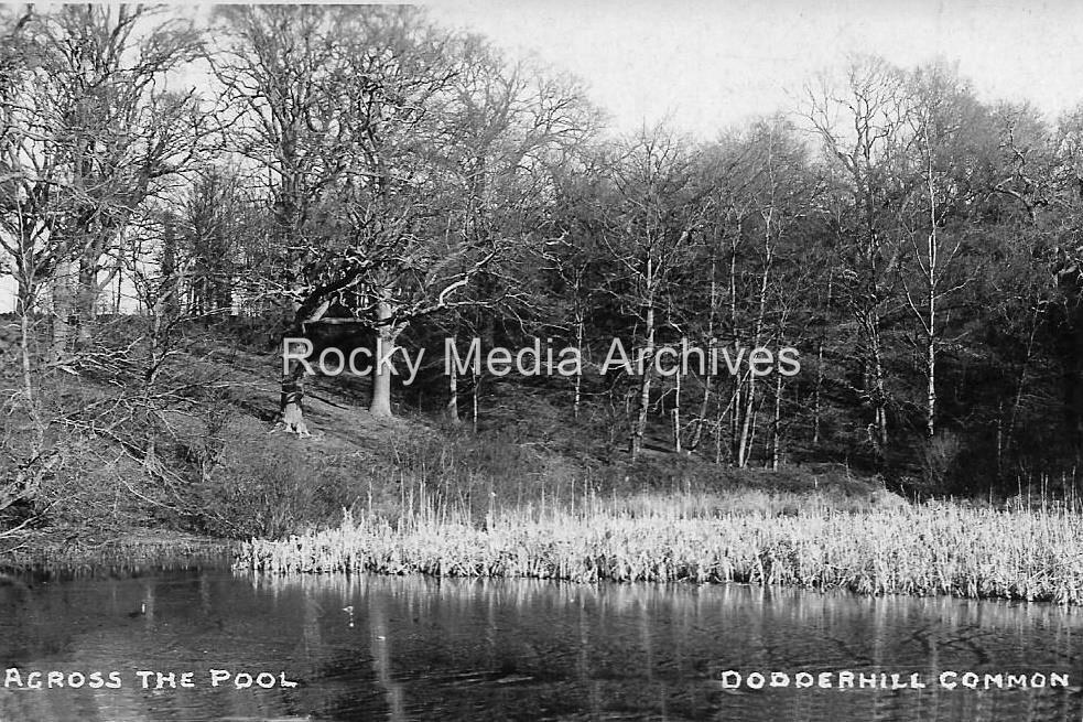 Csa-49 Dodderhill Common, Bromsgrove, Worcestershire. Photo