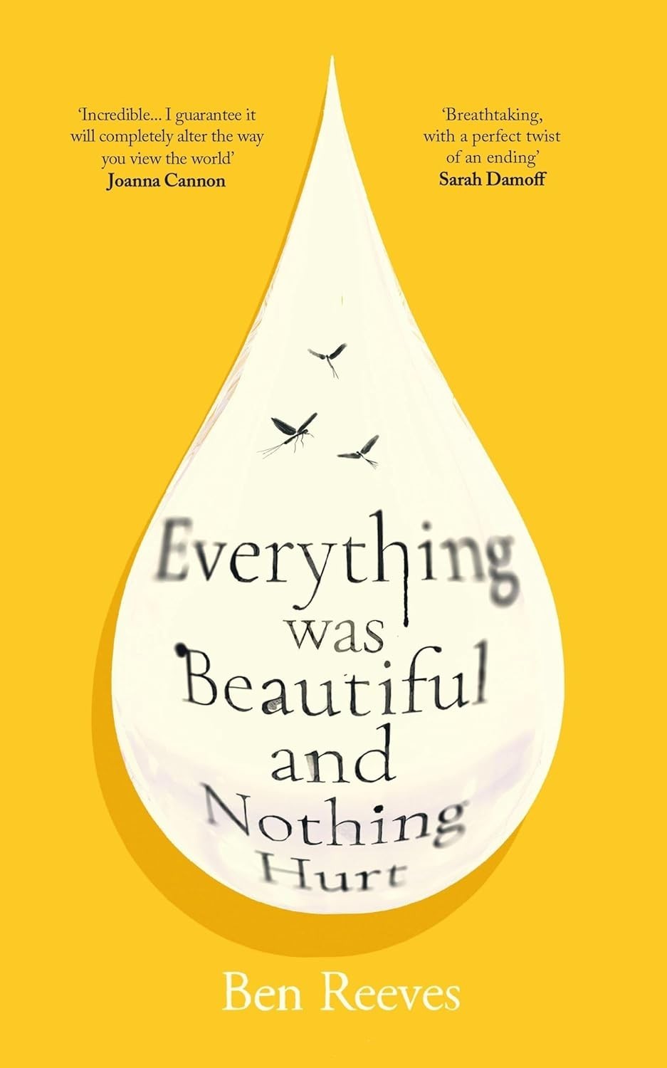 Everything was Beautiful and Nothing Hurt by Ben Reeves Paperback New Book