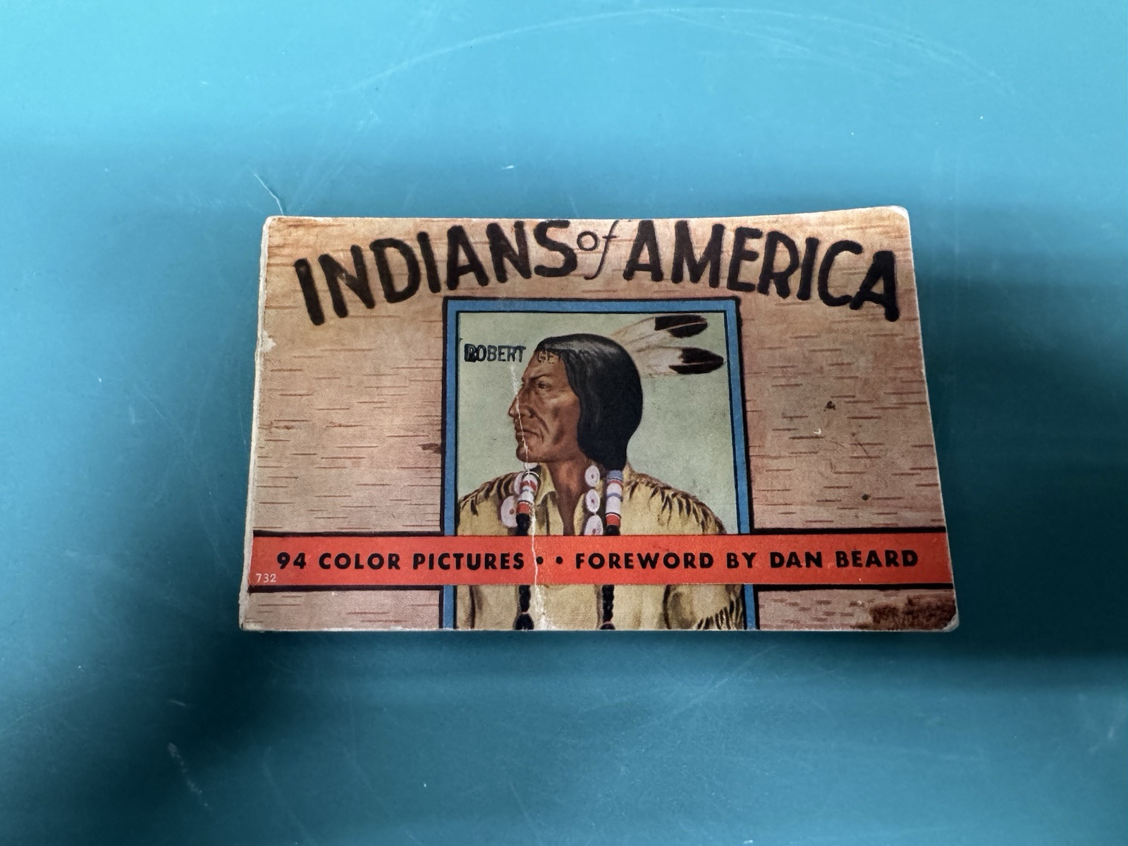 VTG 1935 Indians Of America Color Pictures Fazzin Dan Beard Book Native American VTG 1935 Indians Of America Color Pictures Fazzin Dan Beard Book Native American