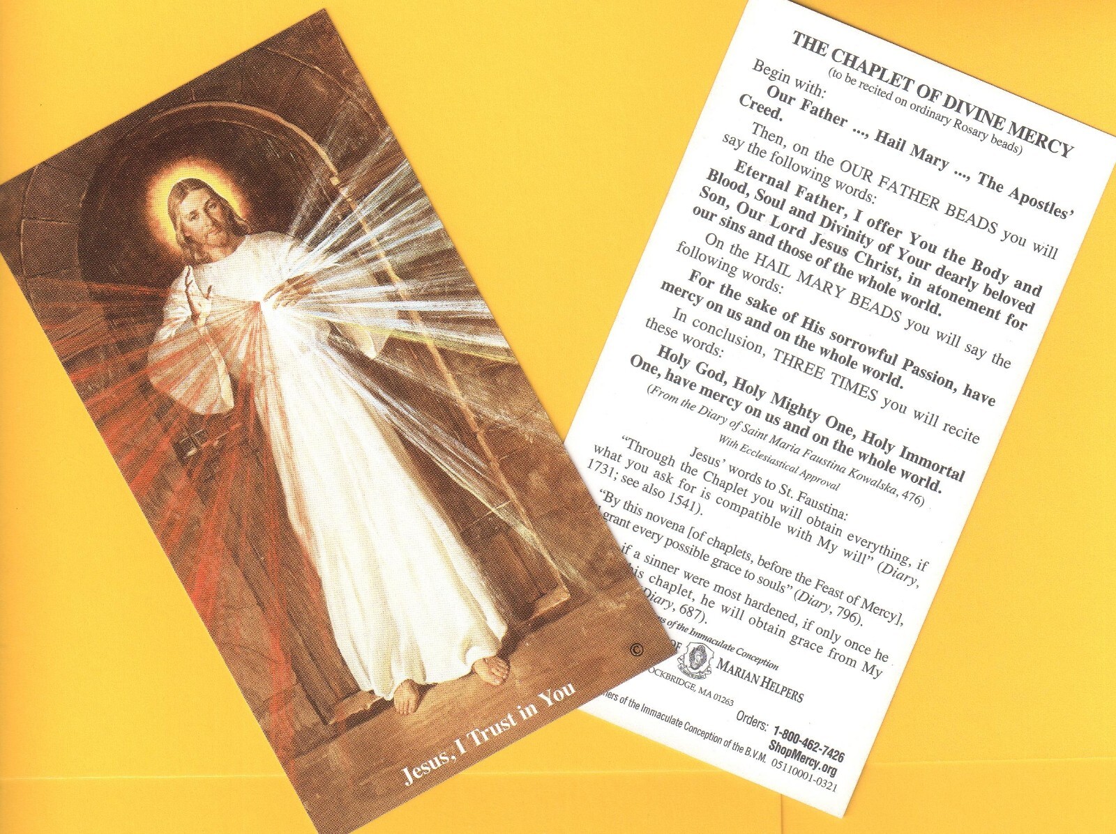 Divine Mercy Famous Skemp Art Jesus Christ New Old 1995 Convent Card