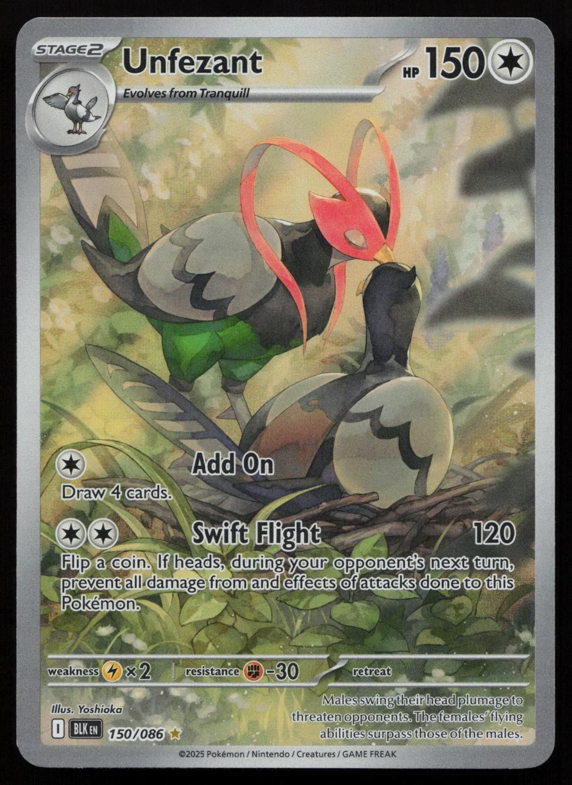 Unfezant 150/086 Holo Illustration Rare Black Bolt Pokemon English NM Unfezant 150/086 Holo Illustration Rare Black Bolt Pokemon English NM