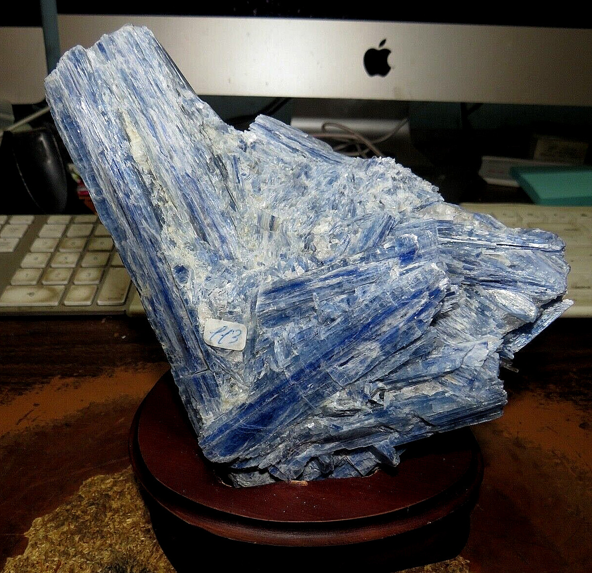 GORGEOUS HUGE SPECIMEN OF BLUE KYANITE IN A WOOD STAND GORGEOUS HUGE SPECIMEN OF BLUE KYANITE IN A WOOD STAND