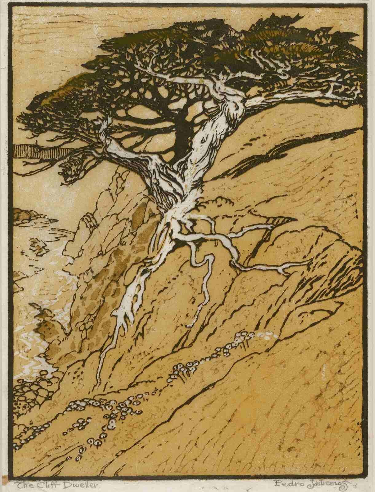 Pedro Lemos : The Cliff Dweller : Coastal Woodcut Arts & Crafts Art Print 1915