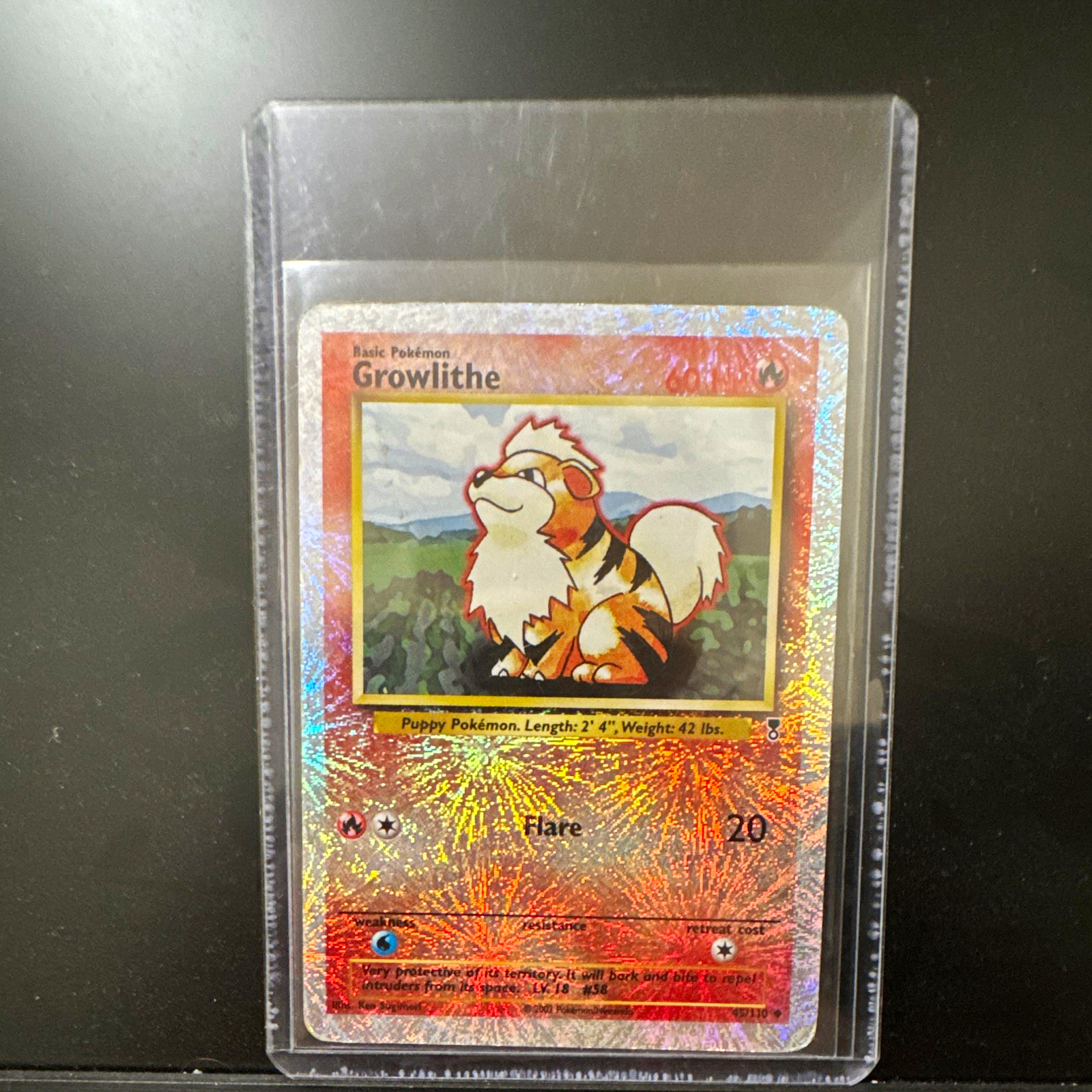 The Pokemon Company Growlithe 45/110 Legendary Collection Reverse Holo English The Pokemon Company Growlithe 45/110 Legendary Collection Reverse Holo English
