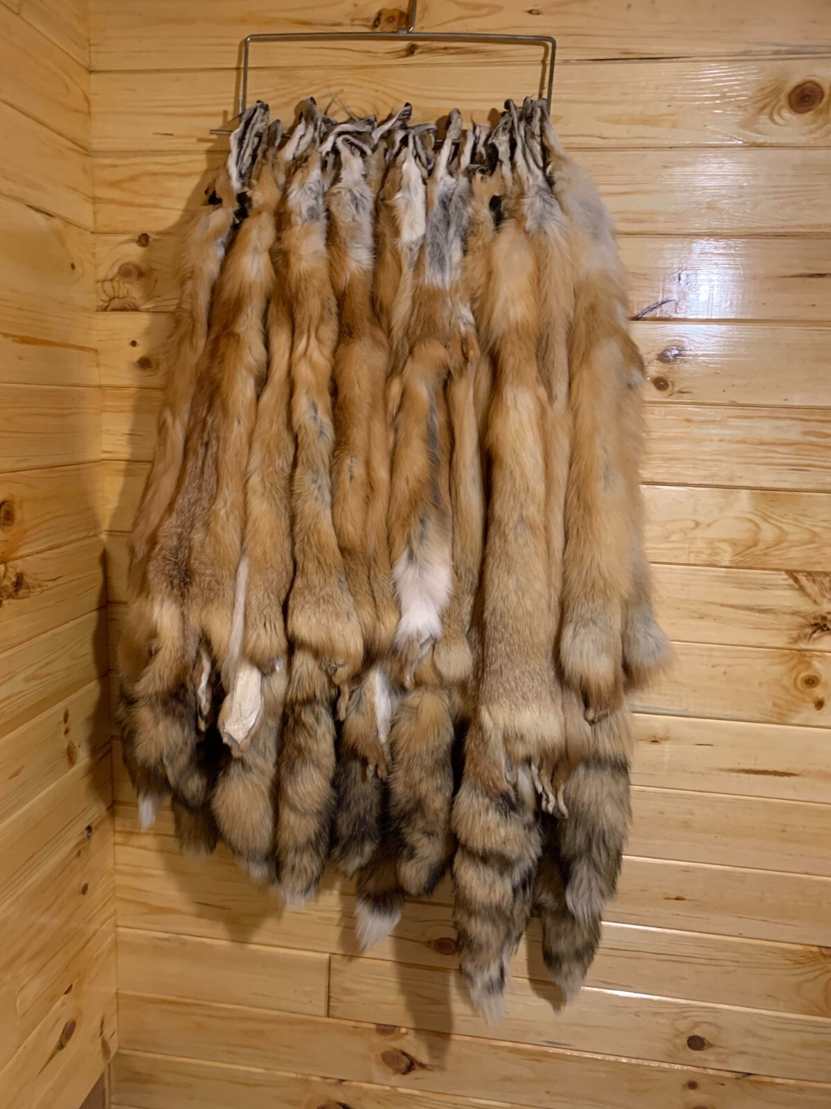 HUGE BEAUTIFUL tanned RED FOX fur pelt size XXL Grade 1 Nicest Red Fox HUGE BEAUTIFUL tanned RED FOX fur pelt size XXL Grade 1 Nicest Red Fox