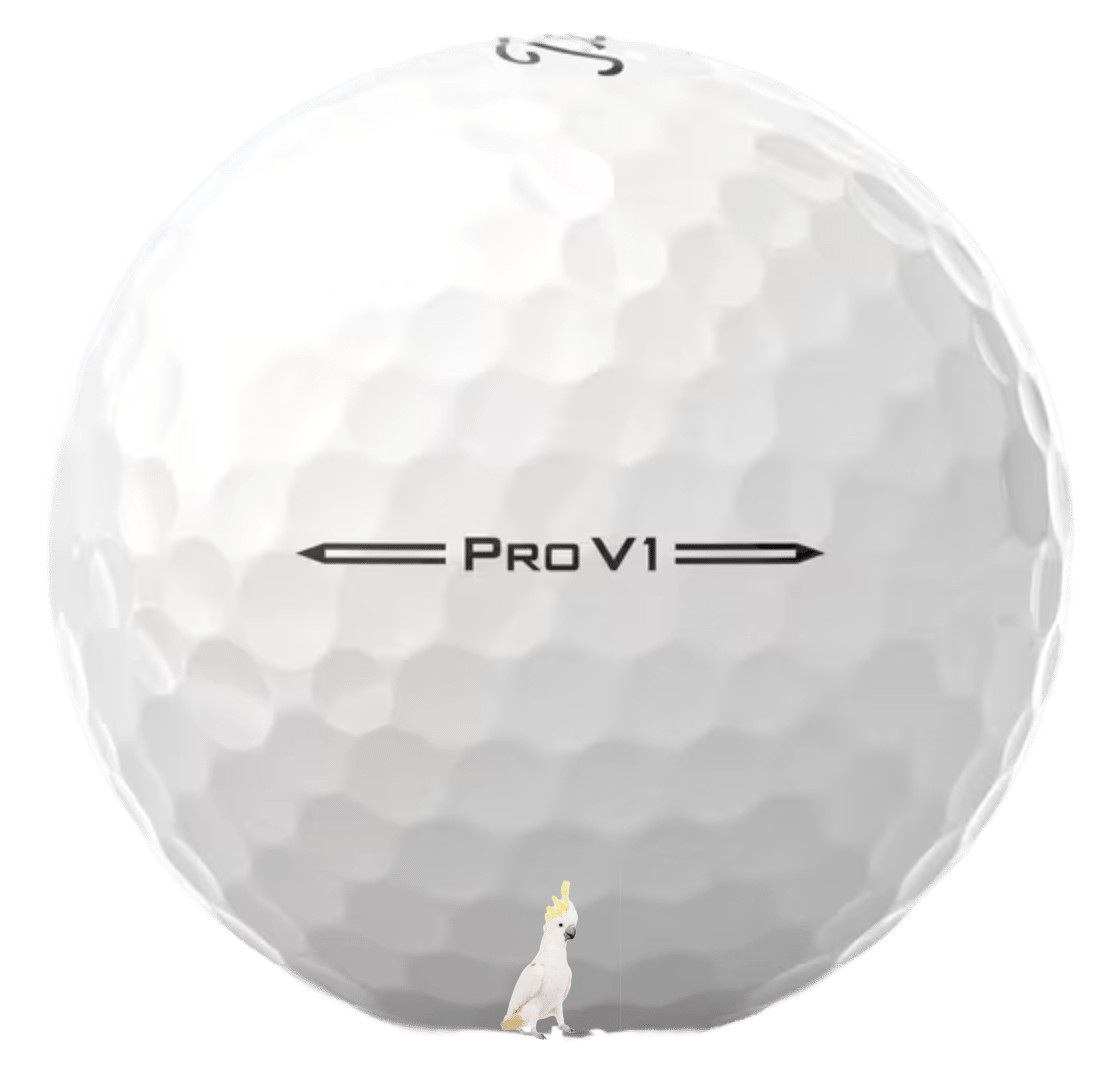 36 Titleist Pro V1 2024 5A Used Washed Golf Balls Pro V1 2024 36 Titleist Pro V1 2024 5A Used Washed Golf Balls Pro V1 2024