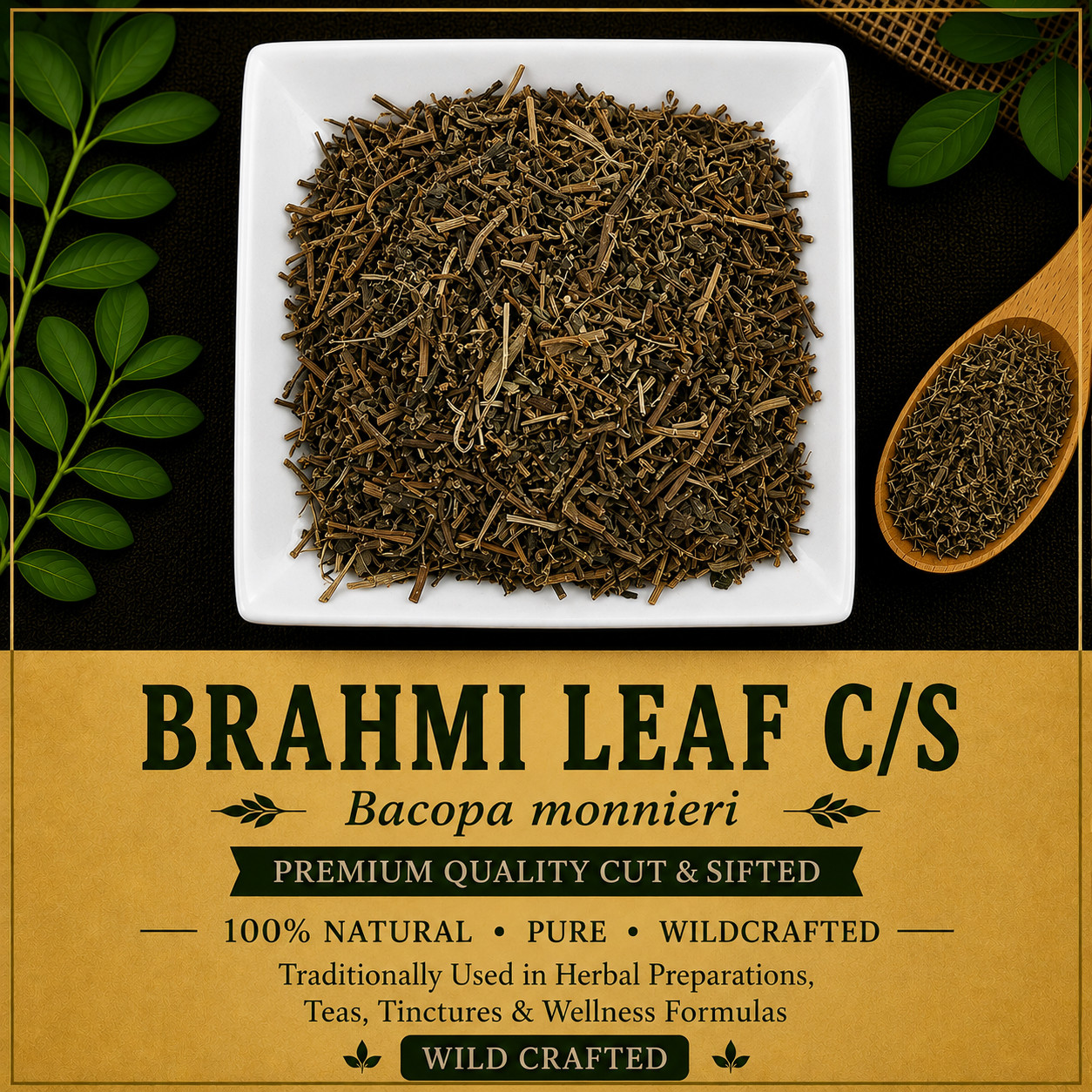 Brahmi Leaf C/S | Bacopa monnieri | Wild Crafted | Premium | Herbal Tea | Fresh