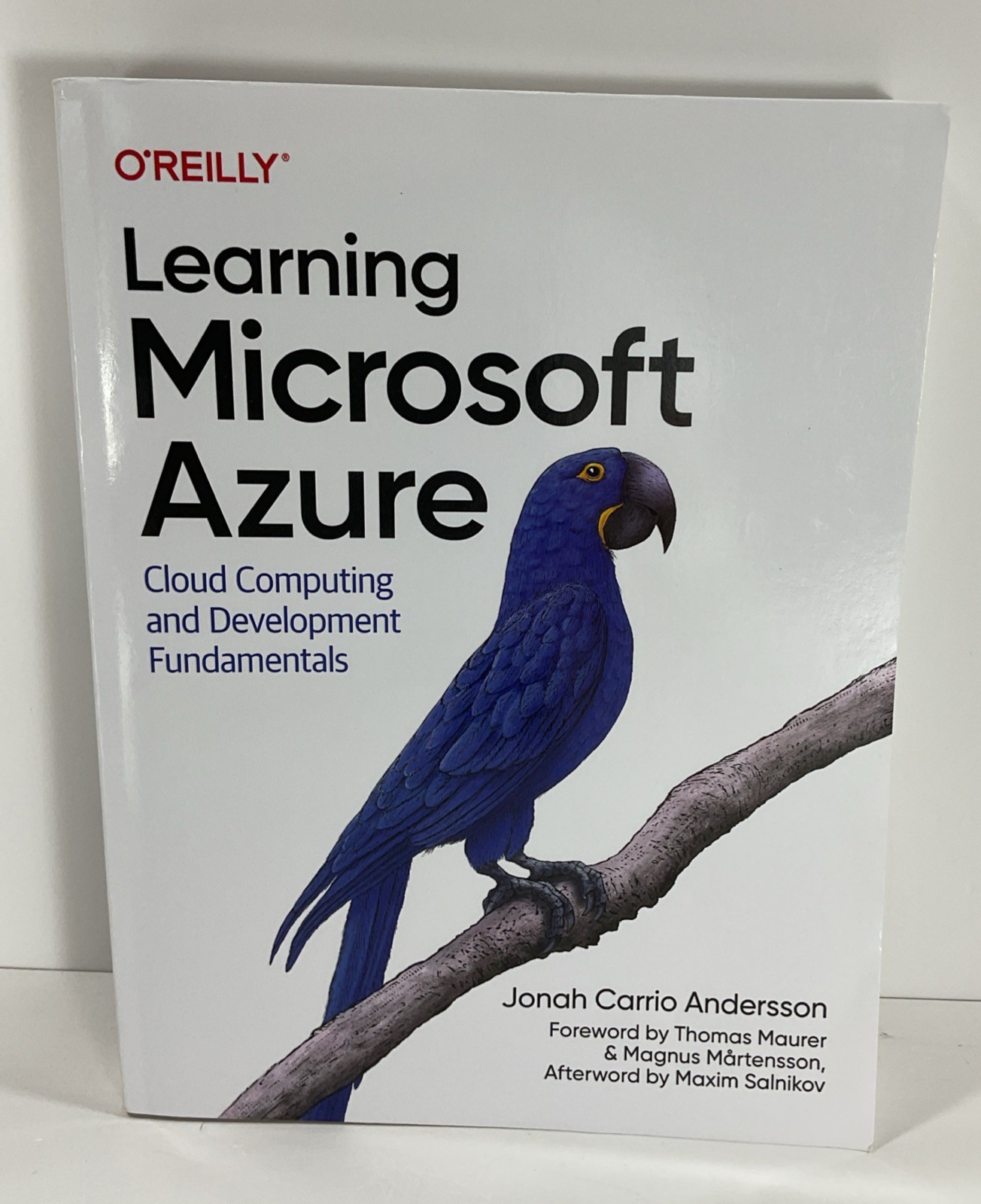 Learning Microsoft Azure Cloud Computing and Development Anderson Trade PB