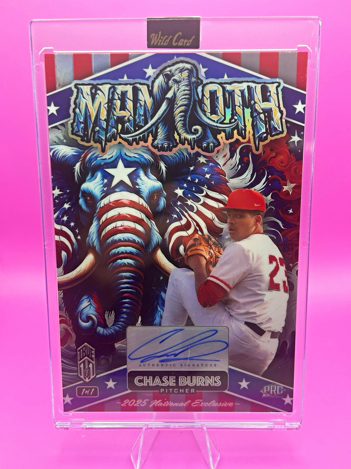 Wild Card National Exclusive 2025 Chase Burns Mammoth DINO-MIGHT Auto 1/1