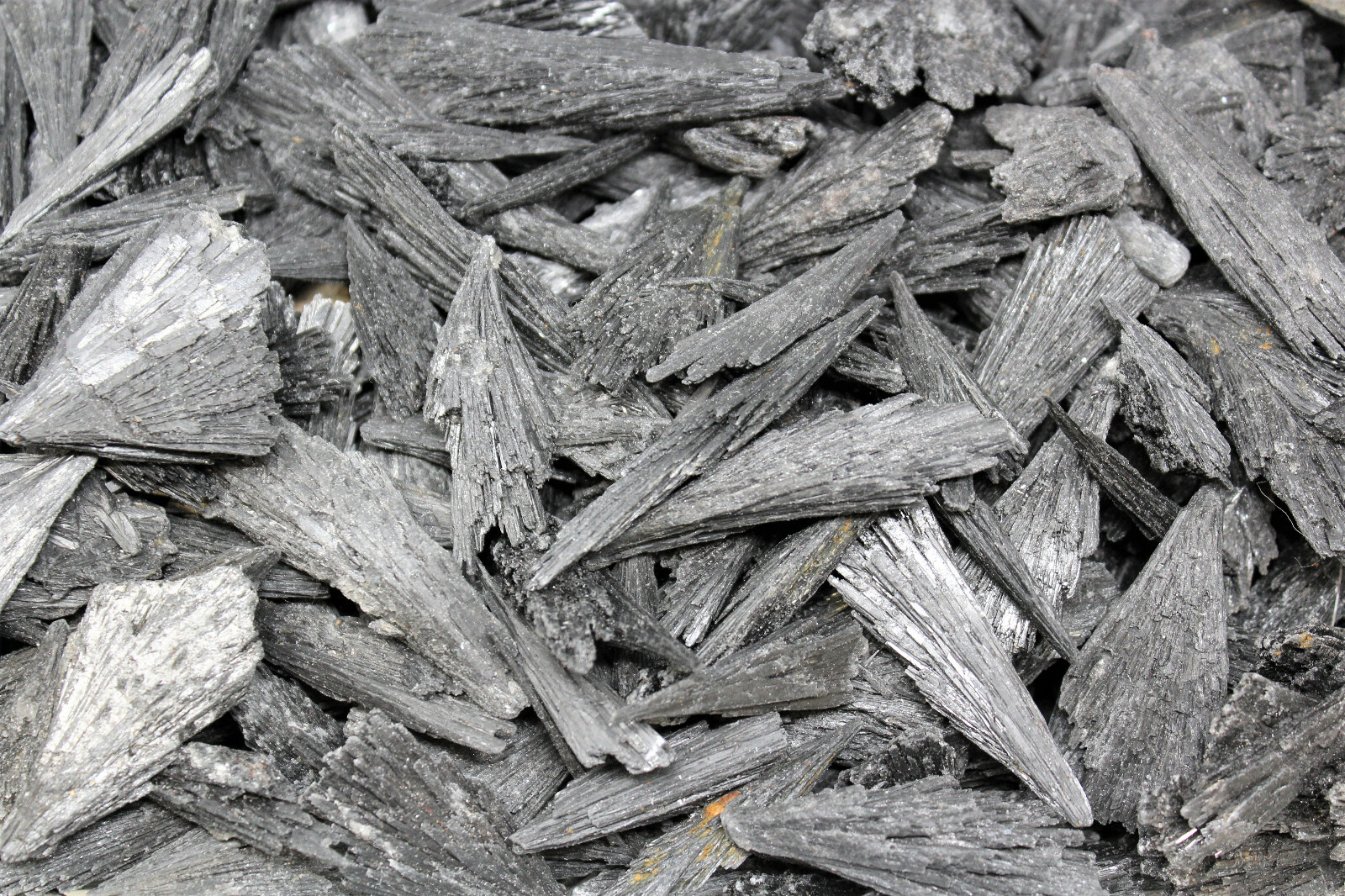 1 lb Black Kyanite Blades (Kyanite Blade, Fan) Wholesale Bulk Lot