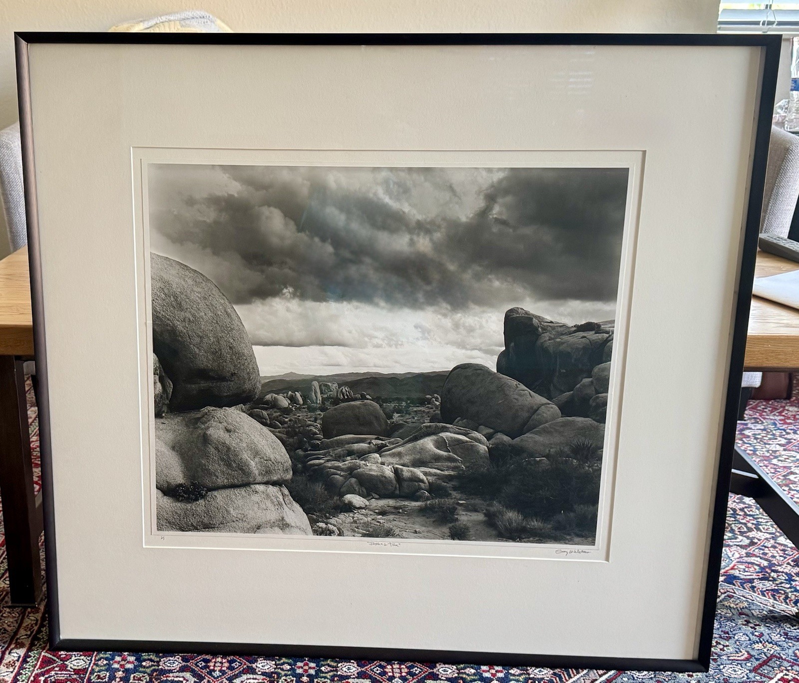 Gary Waters Joshua Tree Silver gelatin Gary Waters Joshua Tree Silver gelatin