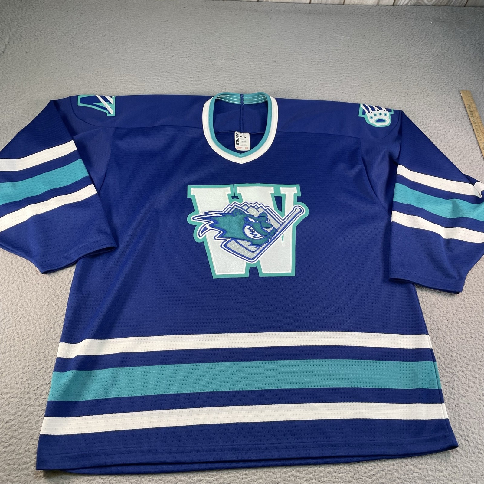 Vintage Worcester IceCats Jersey Mens Large Blue AHL Hockey Bauer 90s Retro