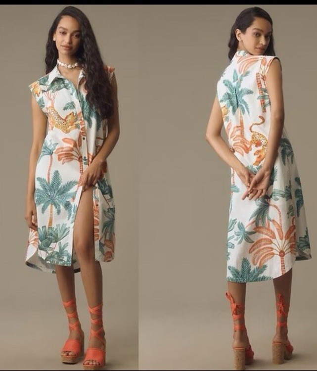 NWT Anthropologie size M The Lillian cap sleeve midi dress button front preppy NWT Anthropologie size M The Lillian cap sleeve midi dress button front preppy