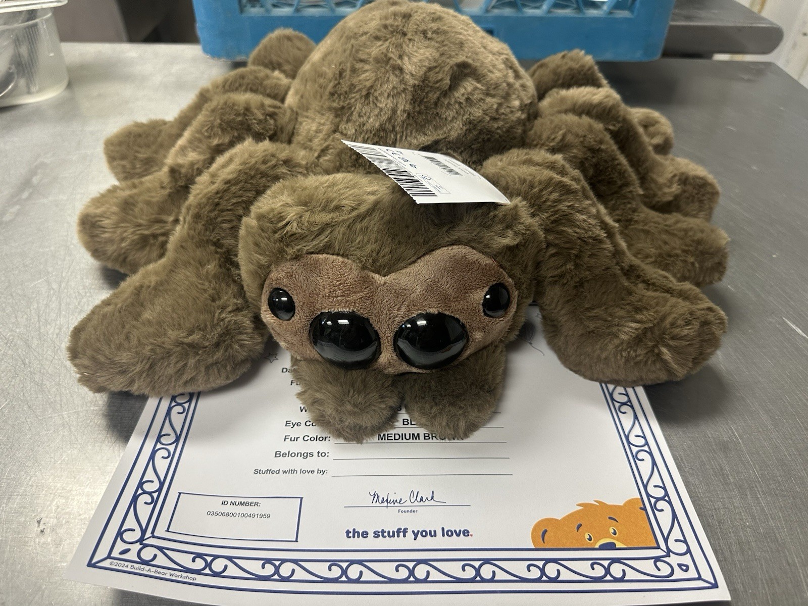 Build A Bear Halloween 2026 Jumping Spider Full Size Plush w/ Certificate NWT Build A Bear Halloween 2026 Jumping Spider Full Size Plush w/ Certificate NWT