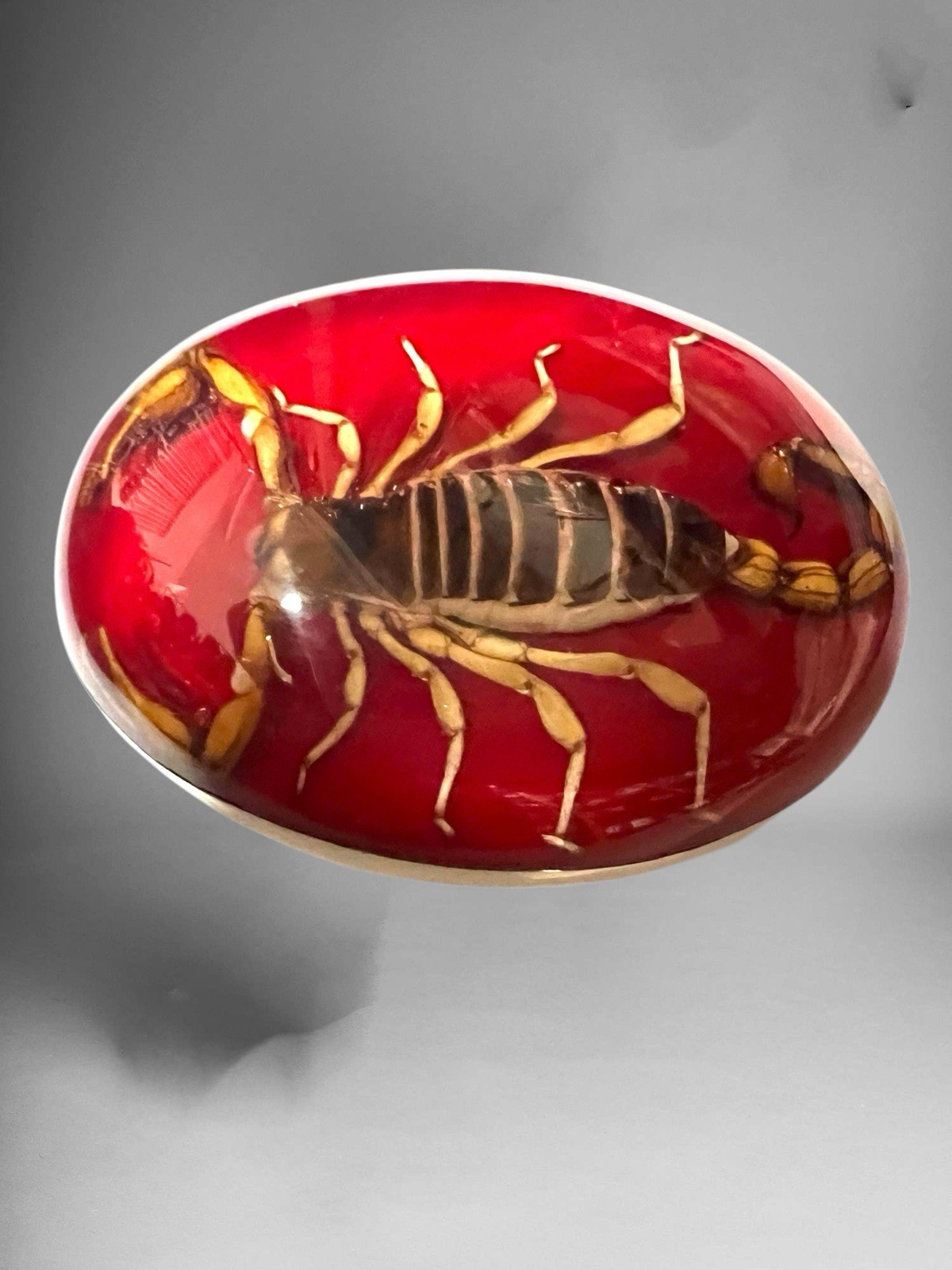 Genuine Scorpion Western Cowboy Style Belt Buckle Hebilla Vaquera Con Alacran Genuine Scorpion Western Cowboy Style Belt Buckle Hebilla Vaquera Con Alacran