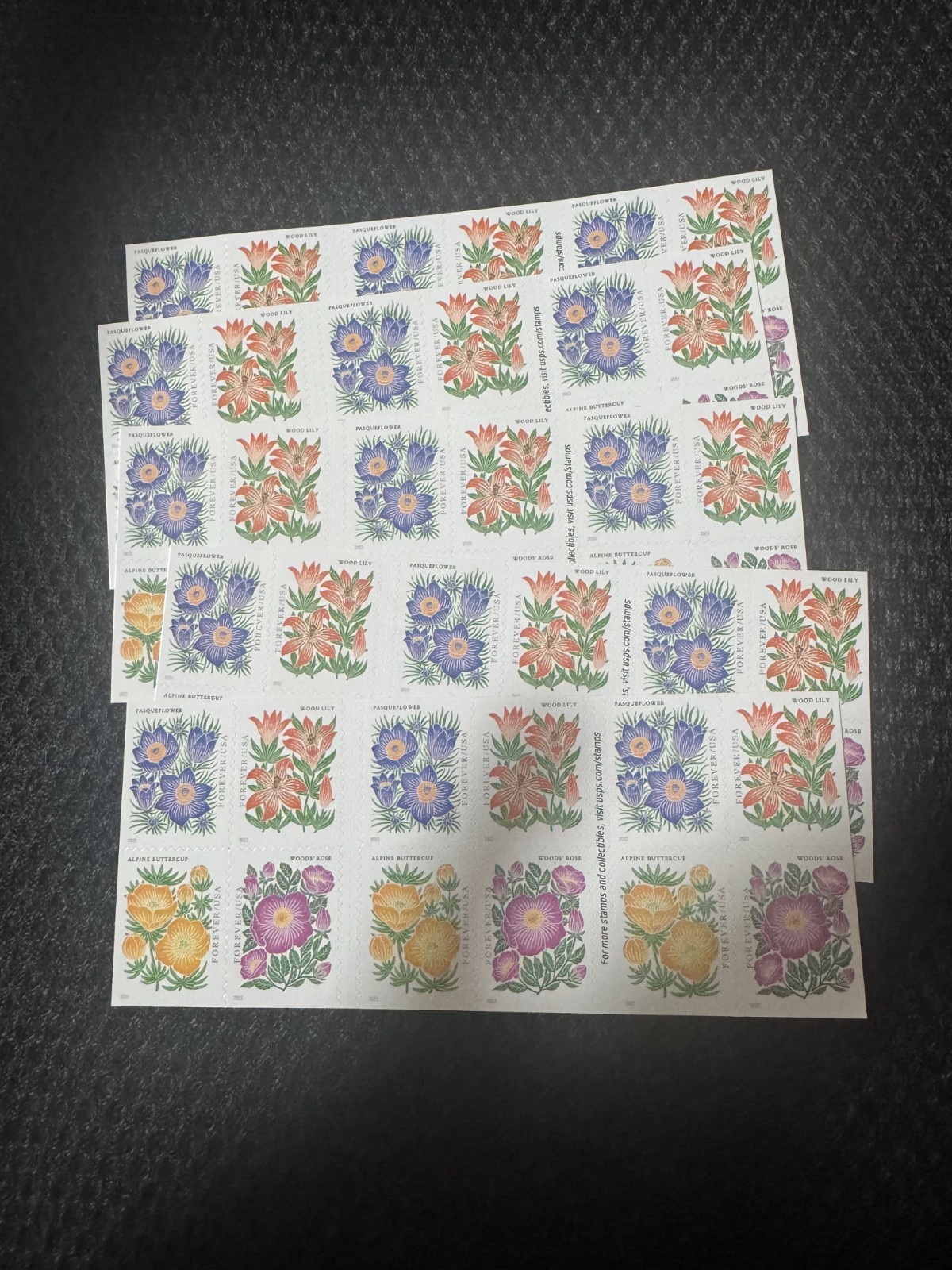 2022 Mountain Plants Stamps — 5 large sheets totaling 100 stamps. 2022 Mountain Plants Stamps — 5 large sheets totaling 100 stamps.