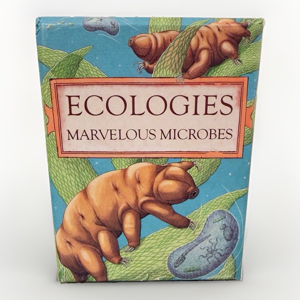 Montrose Biology Ecologies Card Game Science Build Food Webs Biomes 2019