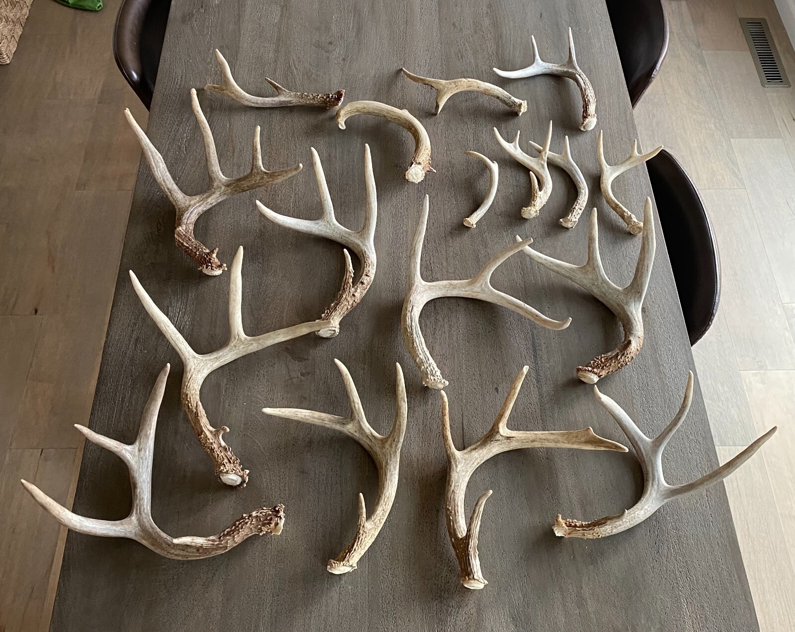 Assorted Deer Antlers 1/2 Lb Bag MADE TO ORDER Sheds Craft Horn Half Pound