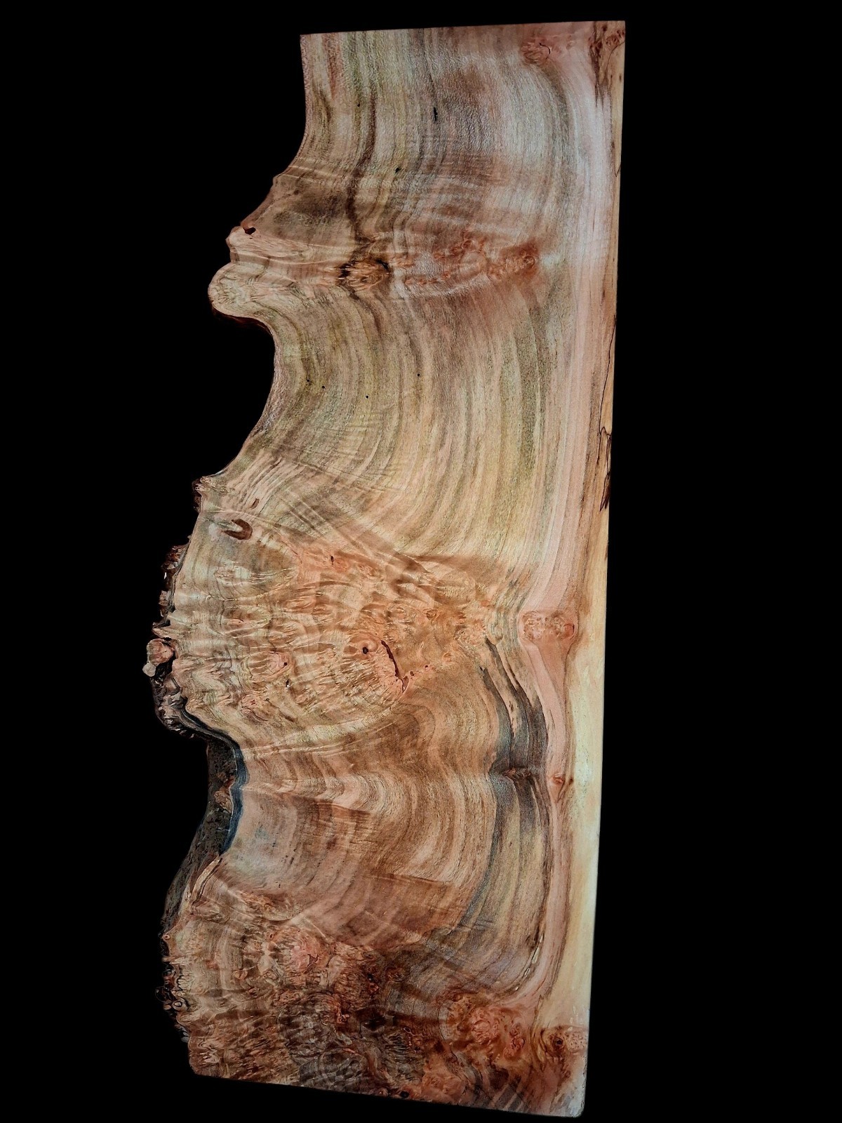 XL MIND BLOWING BIRDSEYE MAPLE Burl wood Blank, LIVE EDGE Curly MAPLE, AMBROSIA 