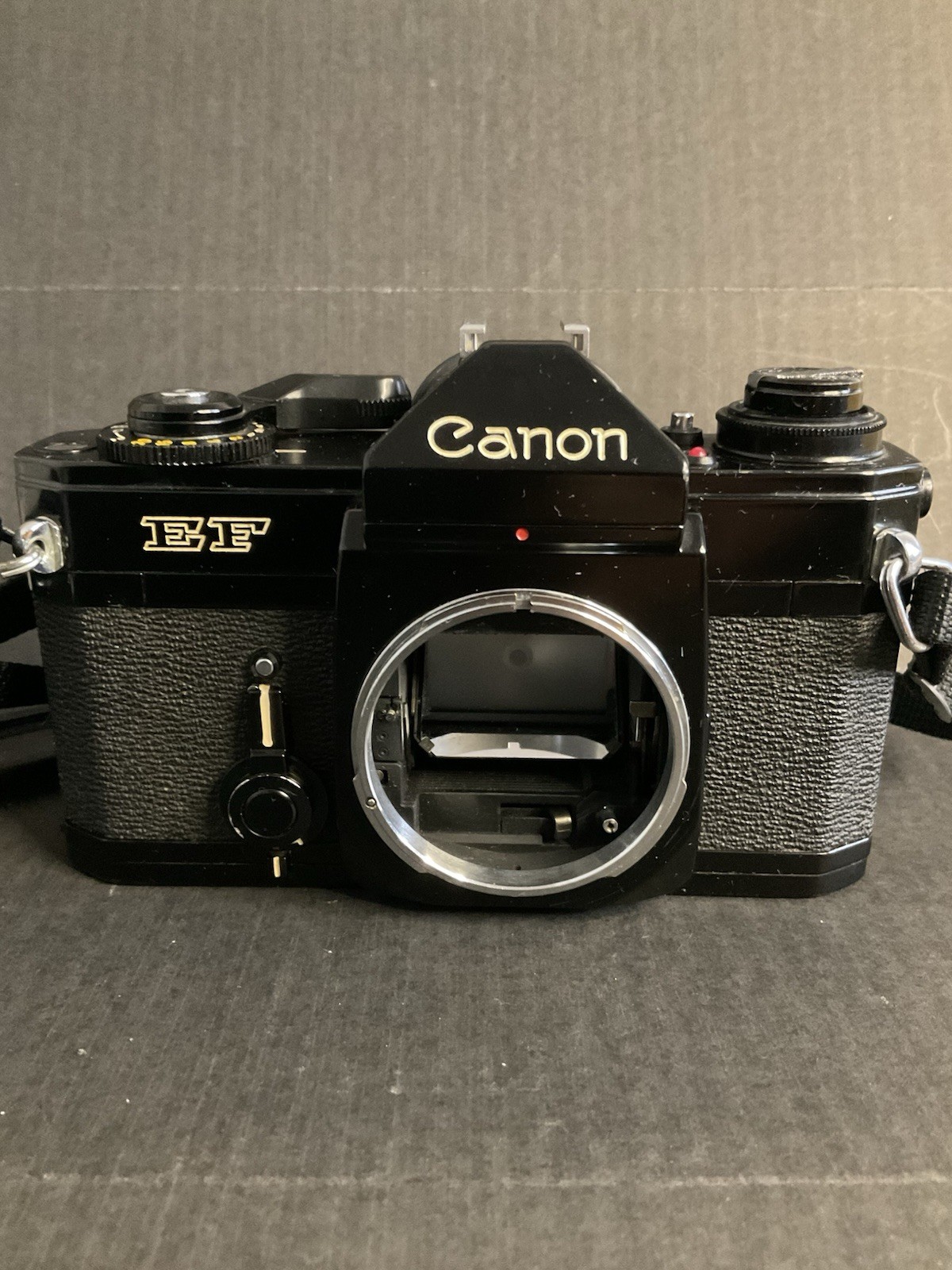 VINTAGE CANON EF 35mm CAMERA SLR W/ STRAP. BODY ONLY. SHUTTER WORKS. GOOD COND VINTAGE CANON EF 35mm CAMERA SLR W/ STRAP. BODY ONLY. SHUTTER WORKS. GOOD COND