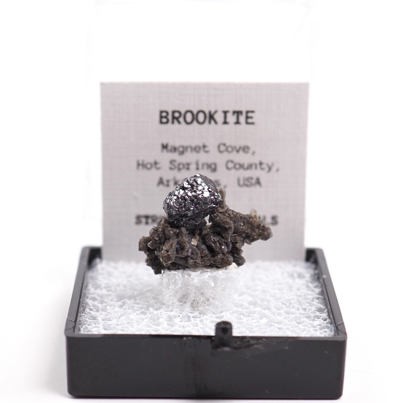 Brookite on matrix, Magnet Cove Arkansas Thumbnail Perky Box Mineral Specimen