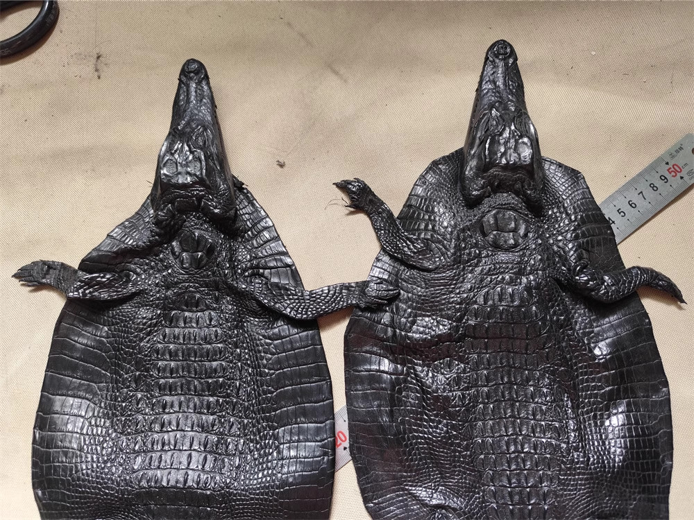 Real Alligator Crocodile Skin Leather Hide Exotic Soft Pelt DIY Craft Black