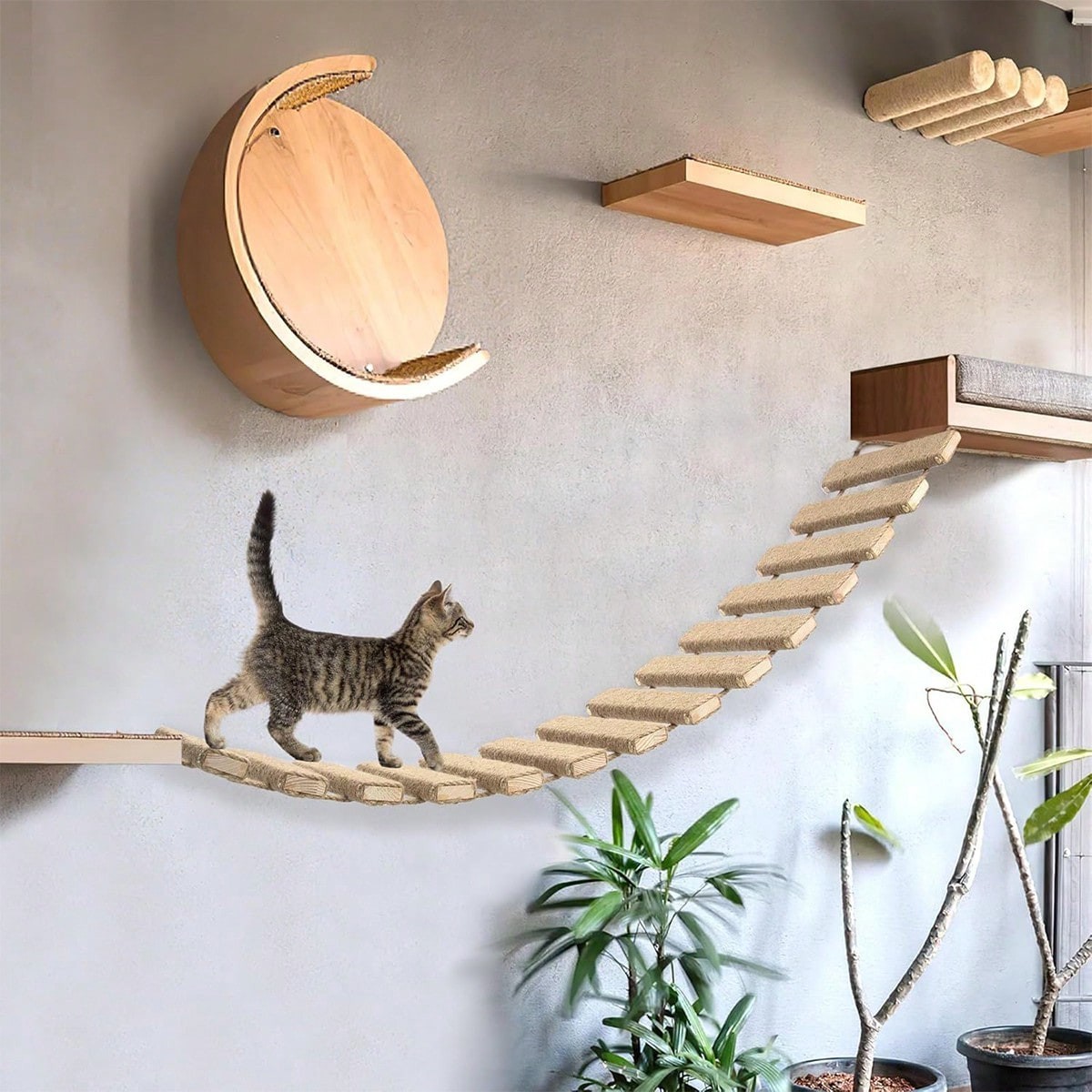 40in Wooden Cat Climbing Ladder and Bridge Wall Mounted Indoor Kitten Play Space