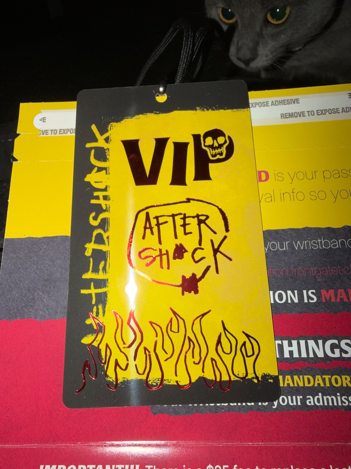 VIP ticket for Aftershock 2026 october 1-4th VIP ticket for Aftershock 2026 october 1-4th