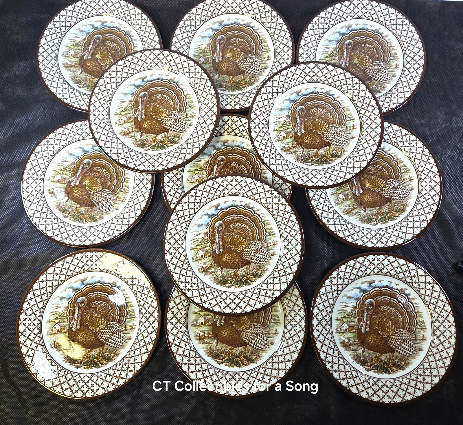 NEW Set of 12 Royal Stafford Chantilly Turkey Salad Plates 8 1/4