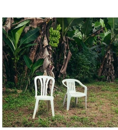 Bad Bunny - DeBÍ TiRAR MáS FOTOS CD Album Rimas 2025 Latin Spanish