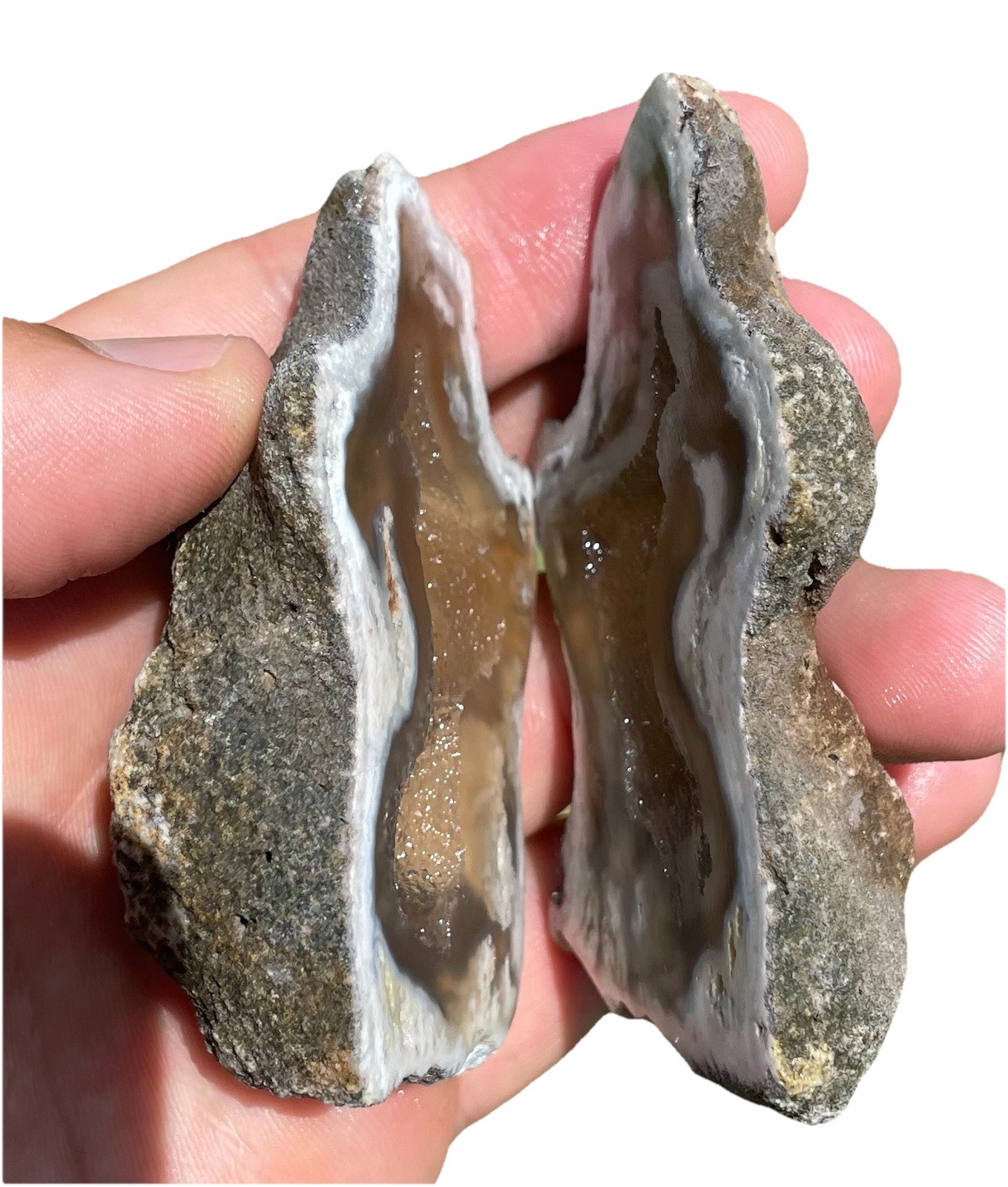 Agatized Corral Geode With Druzy Calcite Crystals Inside Rare Specimen From FL Agatized Corral Geode With Druzy Calcite Crystals Inside Rare Specimen From FL