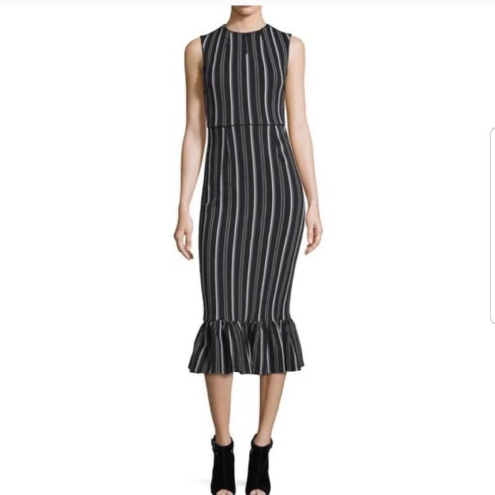 Opening Ceremony Lotus Striped Ruffle Hem Midi Dress Black White Sz. S Opening Ceremony Lotus Striped Ruffle Hem Midi Dress Black White Sz. S