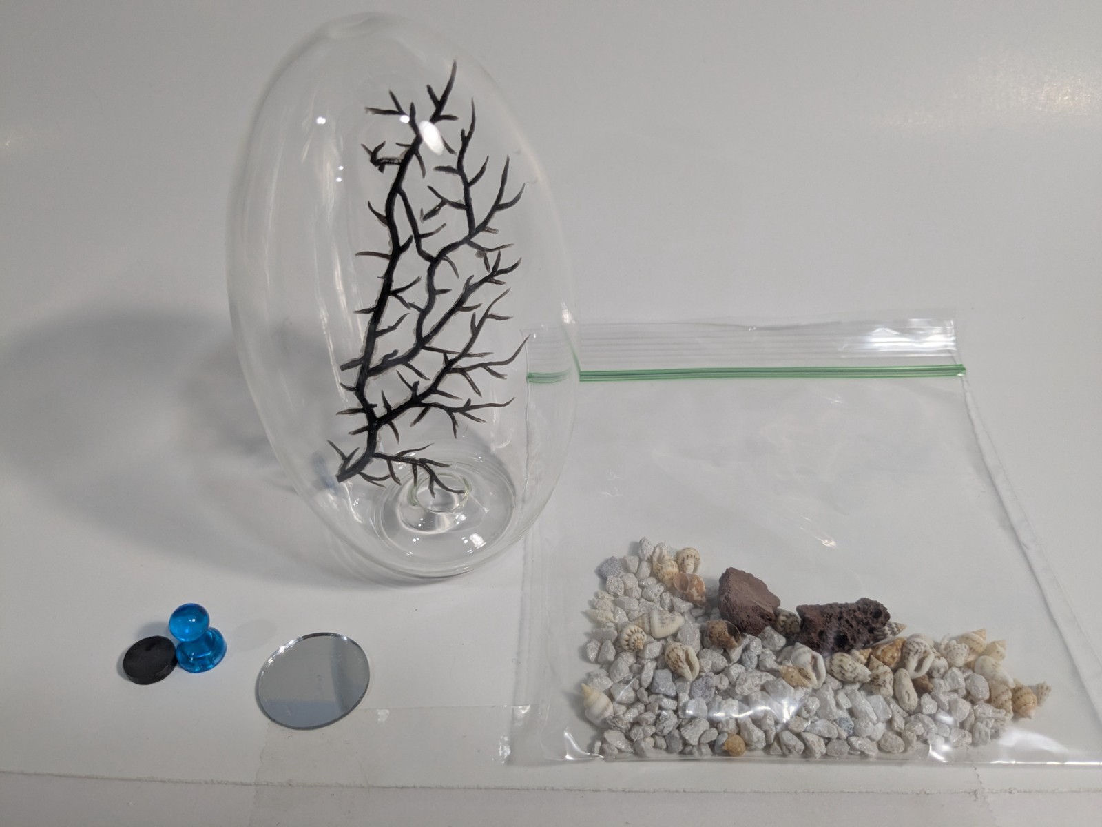 empty shrimp ecopshere kit. DIY you own fully enclosed shrimp ecosphere?