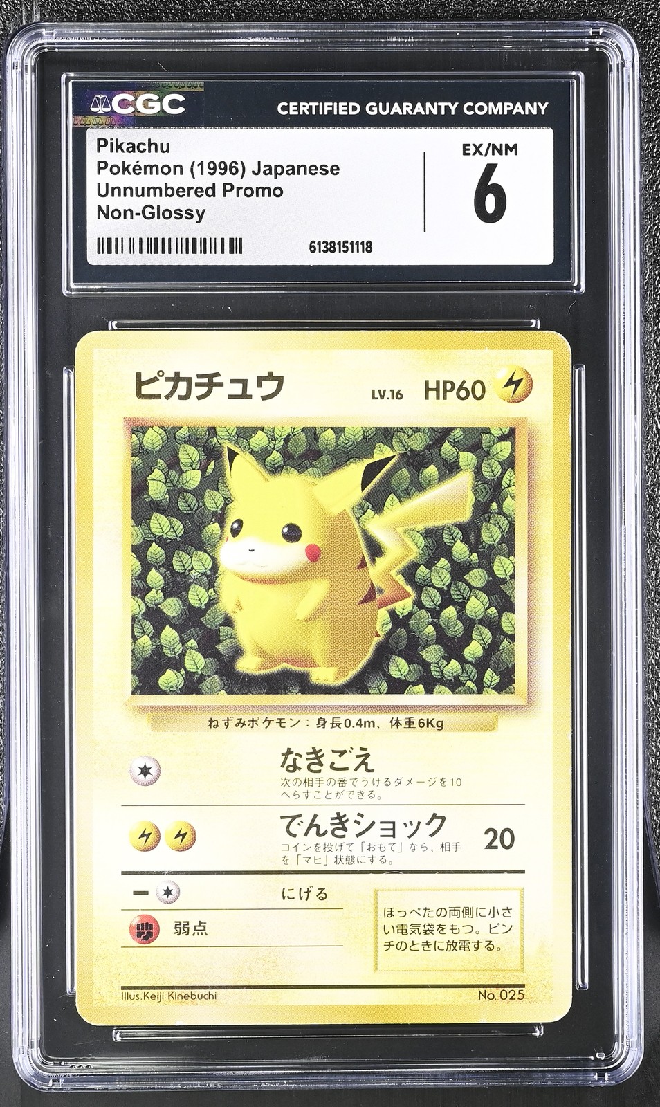 Ivy Pikachu Non-Glossy Corocoro Promo Pokemon Japanese CGC 6 Ex/Nm Ivy Pikachu Non-Glossy Corocoro Promo Pokemon Japanese CGC 6 Ex/Nm