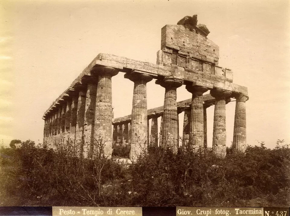 Giovanni Crupi Paestum Temple of Ceres Large Vintage Albumen Photo 1890c L1001