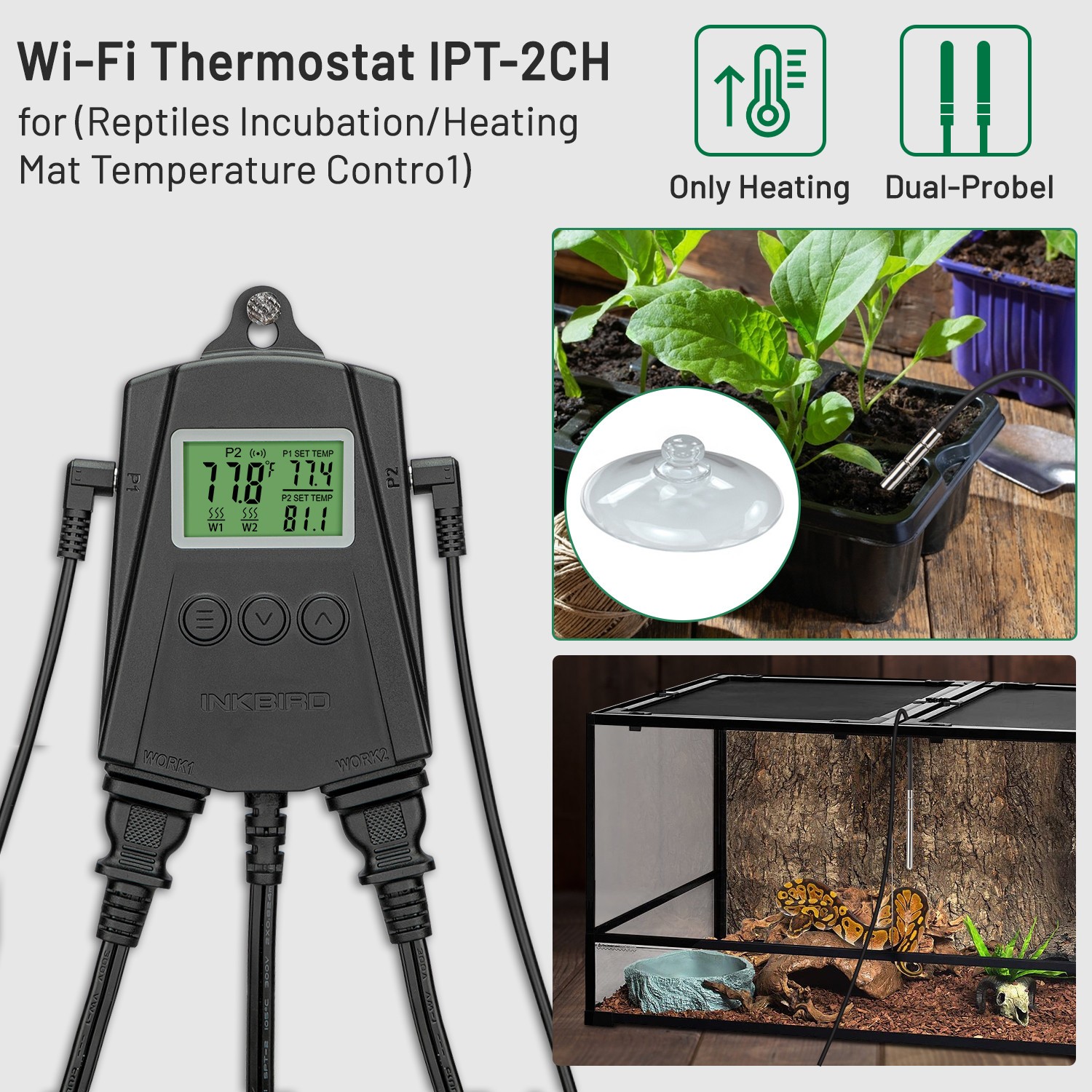 Inkbird IPT-2CH Temperature Controller WiFi Heating Mat Thermostat Greehouse Inkbird IPT-2CH Temperature Controller WiFi Heating Mat Thermostat Greehouse