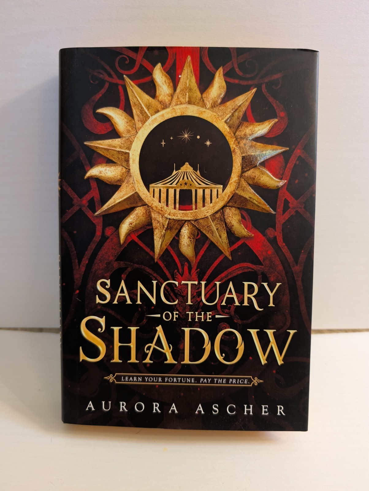 Sanctuary of the Shadow by Aurora Ascher (2024, Hardcover) Special Edition Sanctuary of the Shadow by Aurora Ascher (2024, Hardcover) Special Edition