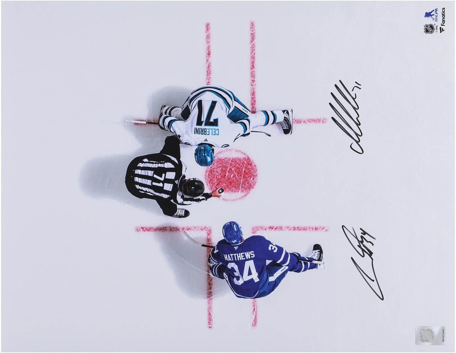 Auston Matthews Maple Leafs & Macklin Celebrini Sharks Signed 16\ Auston Matthews Maple Leafs & Macklin Celebrini Sharks Signed 16\