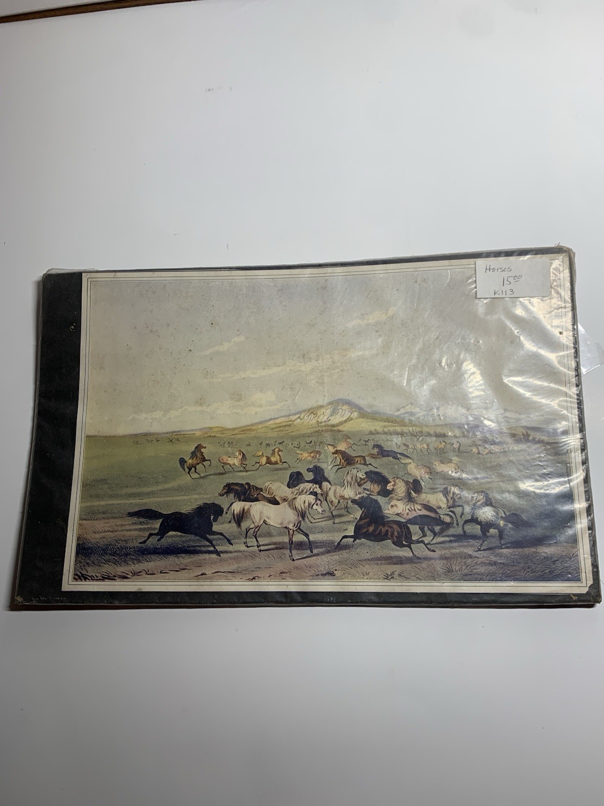 Vintage George Caitlin Print Wild Horses At Play Plate 3 Antique Print